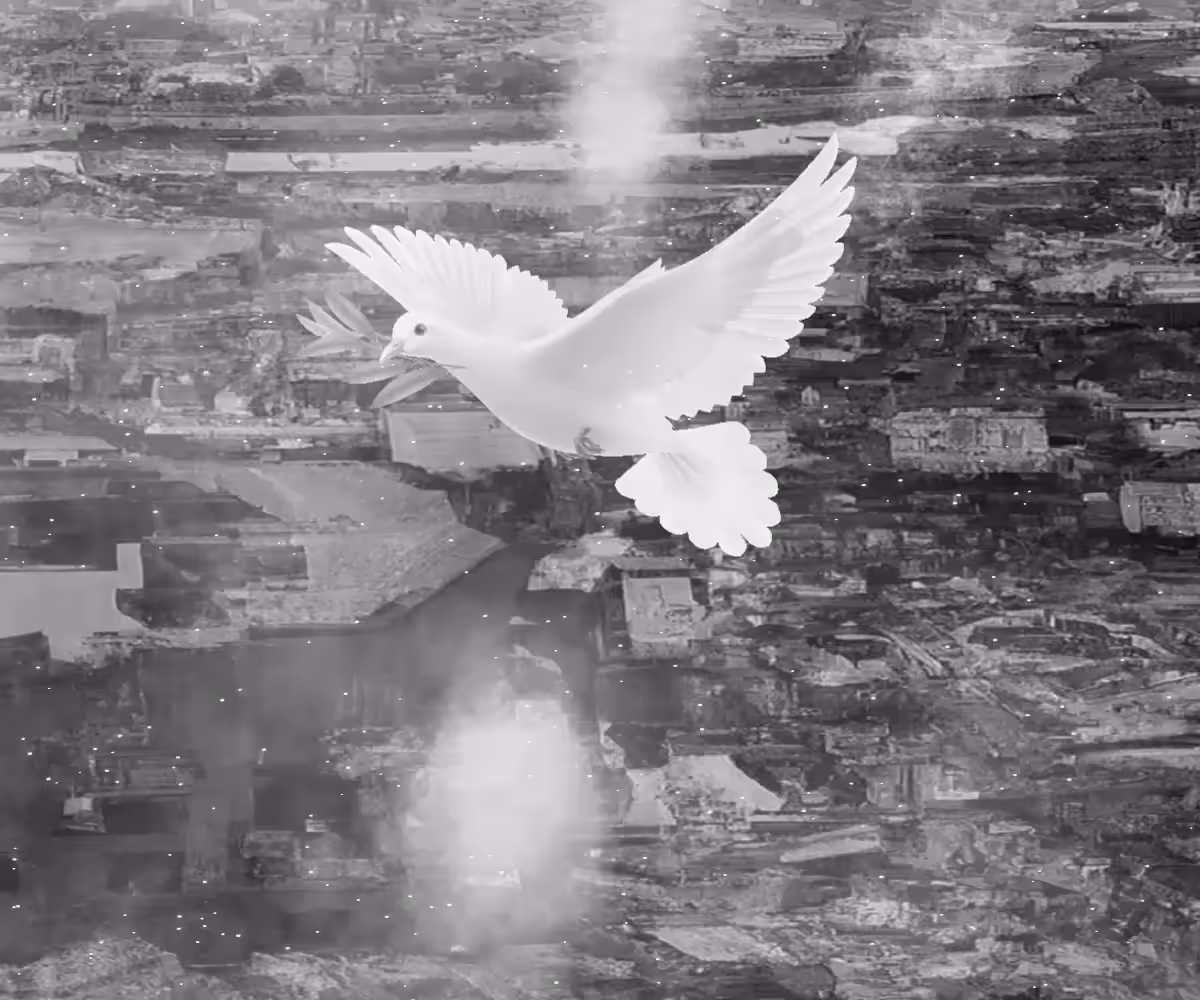 Peace Bird