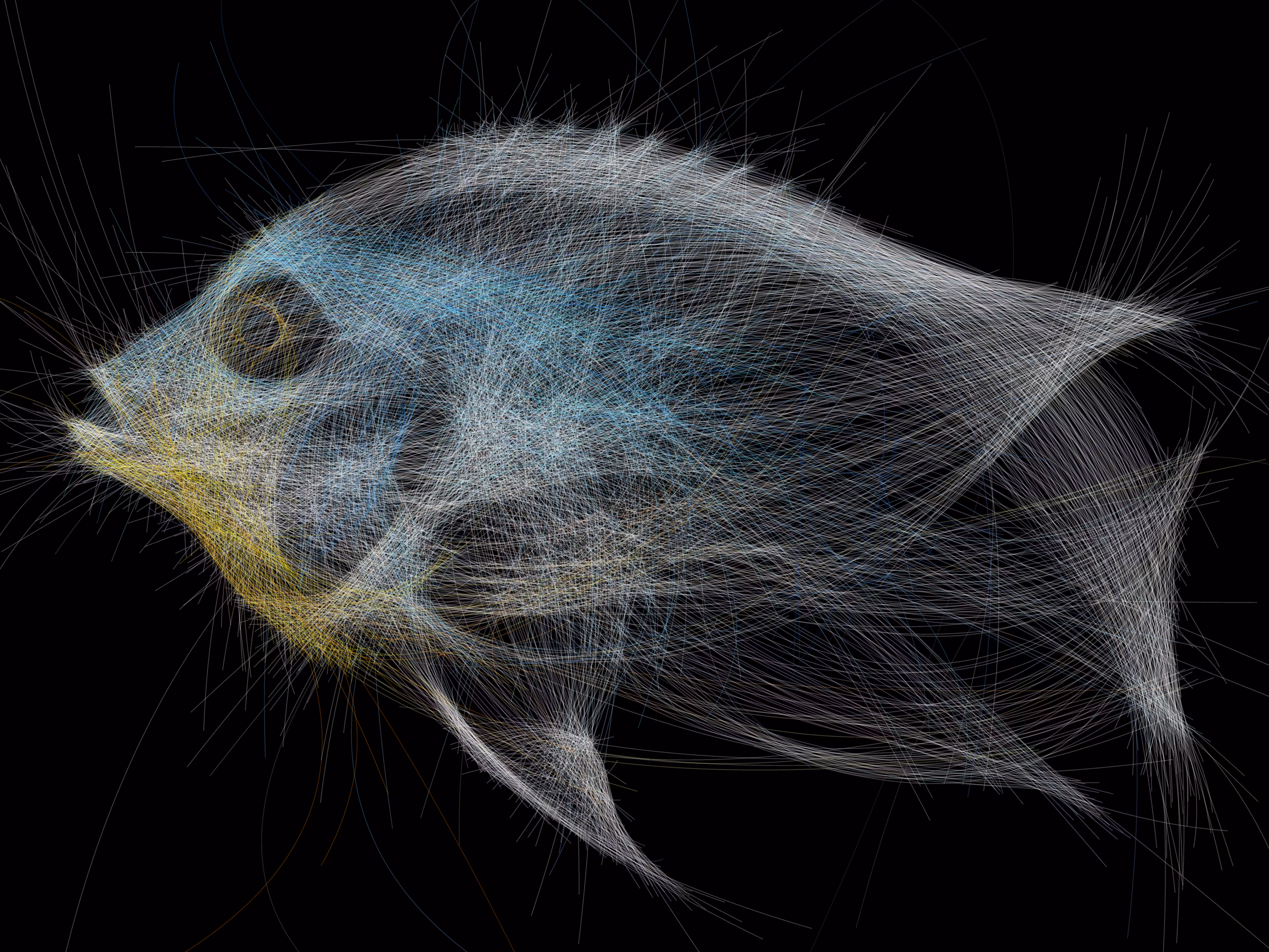 Underwater 270