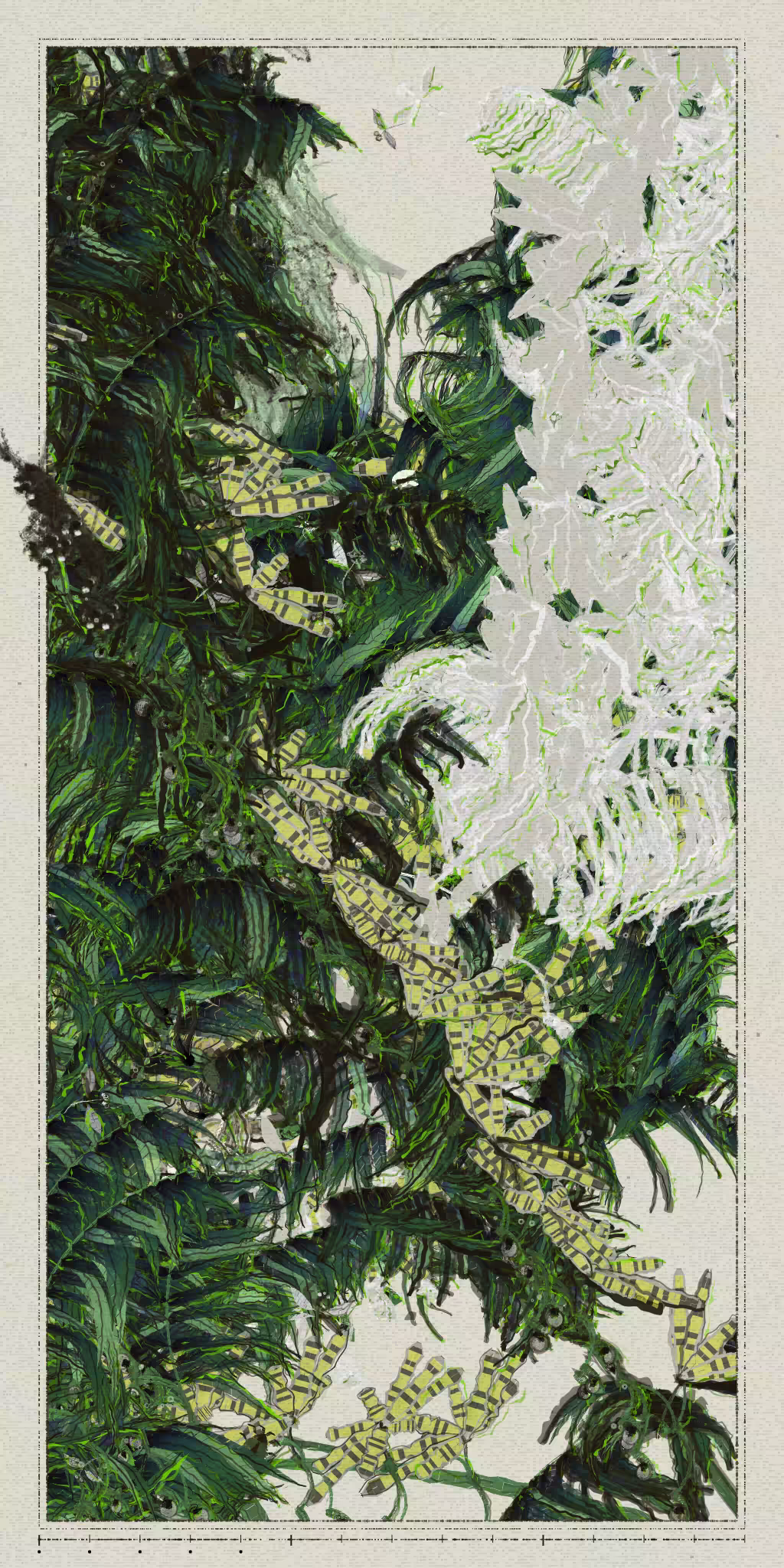 Polypaths | 植徑集 #306
