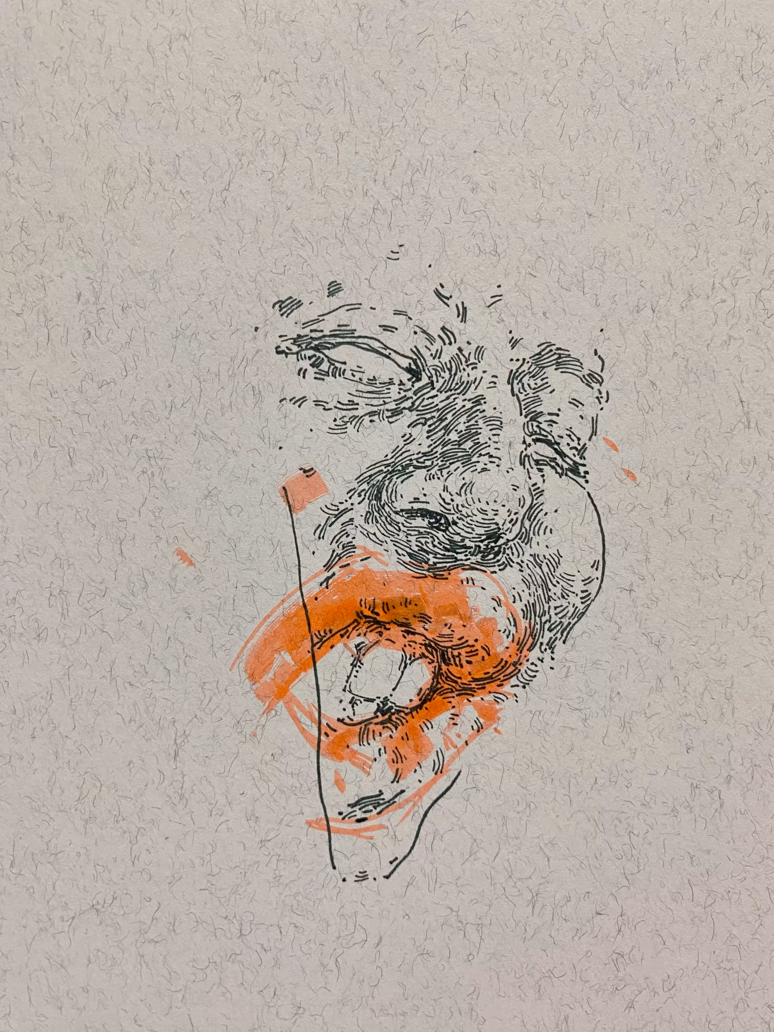 01 (Deficiency)