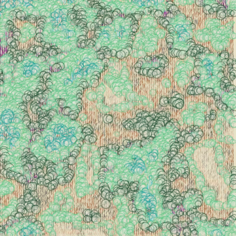 Petri 1500 #237