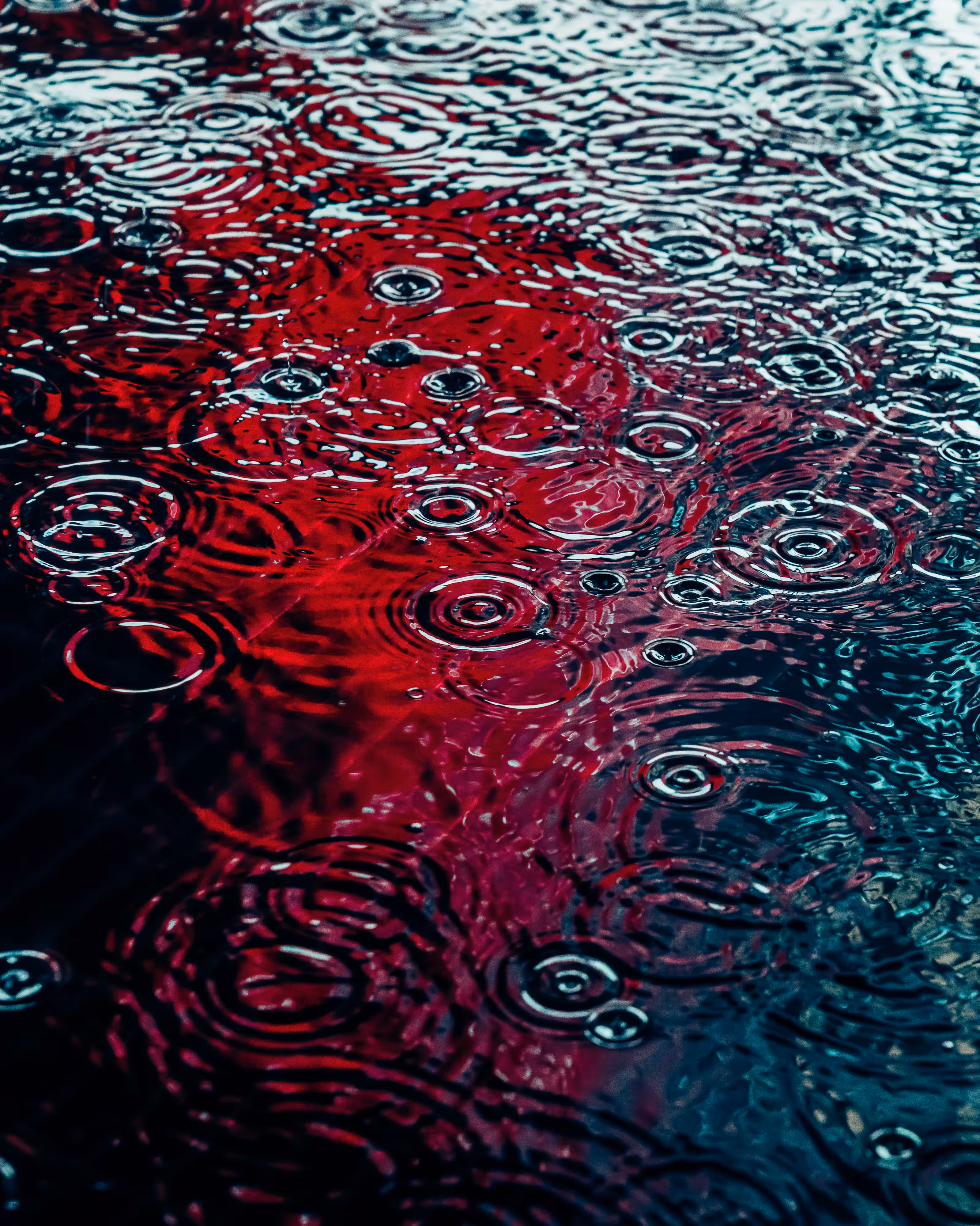 DRIP DROP: DRIP #224