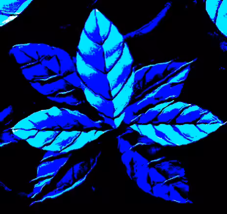 Weird Art #6 Blue Leaves