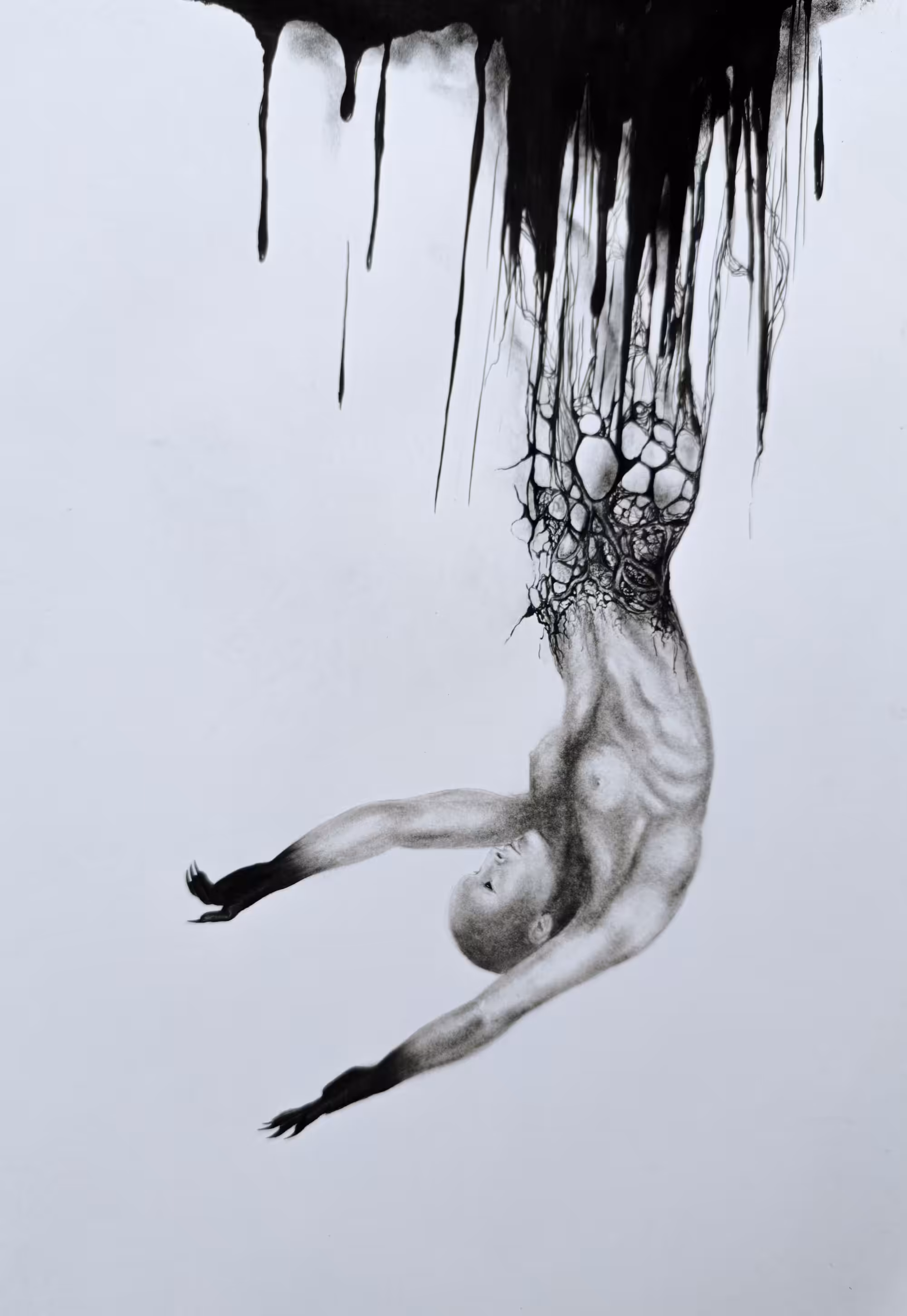 SHADOWS (pencil art): Silent Descent