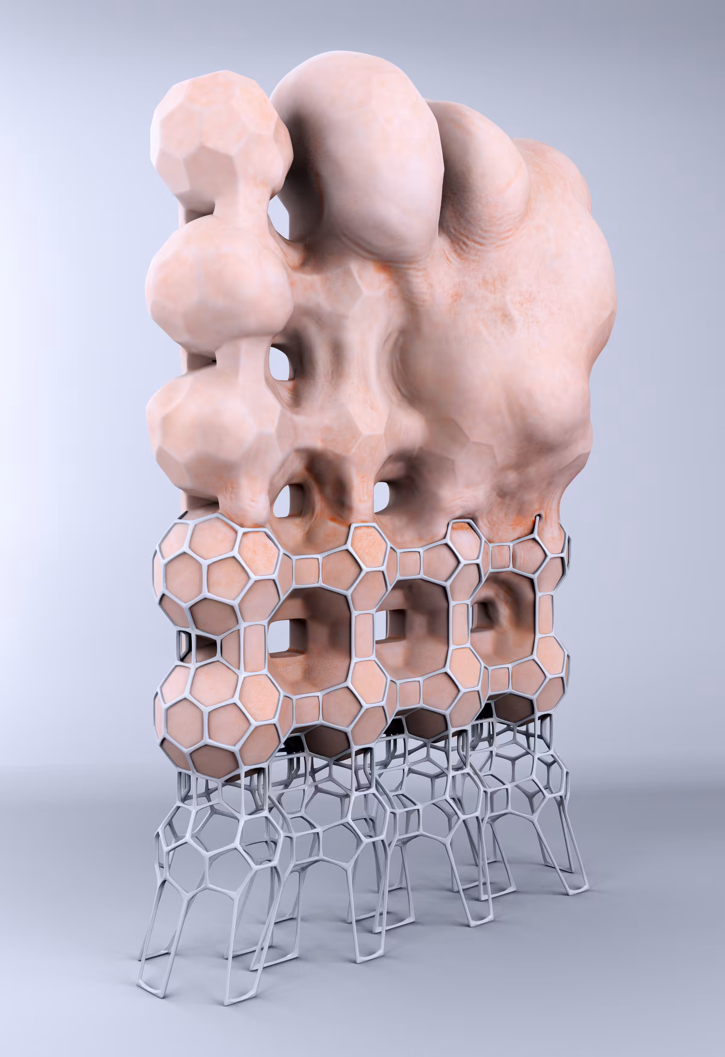 Biostructure IV
