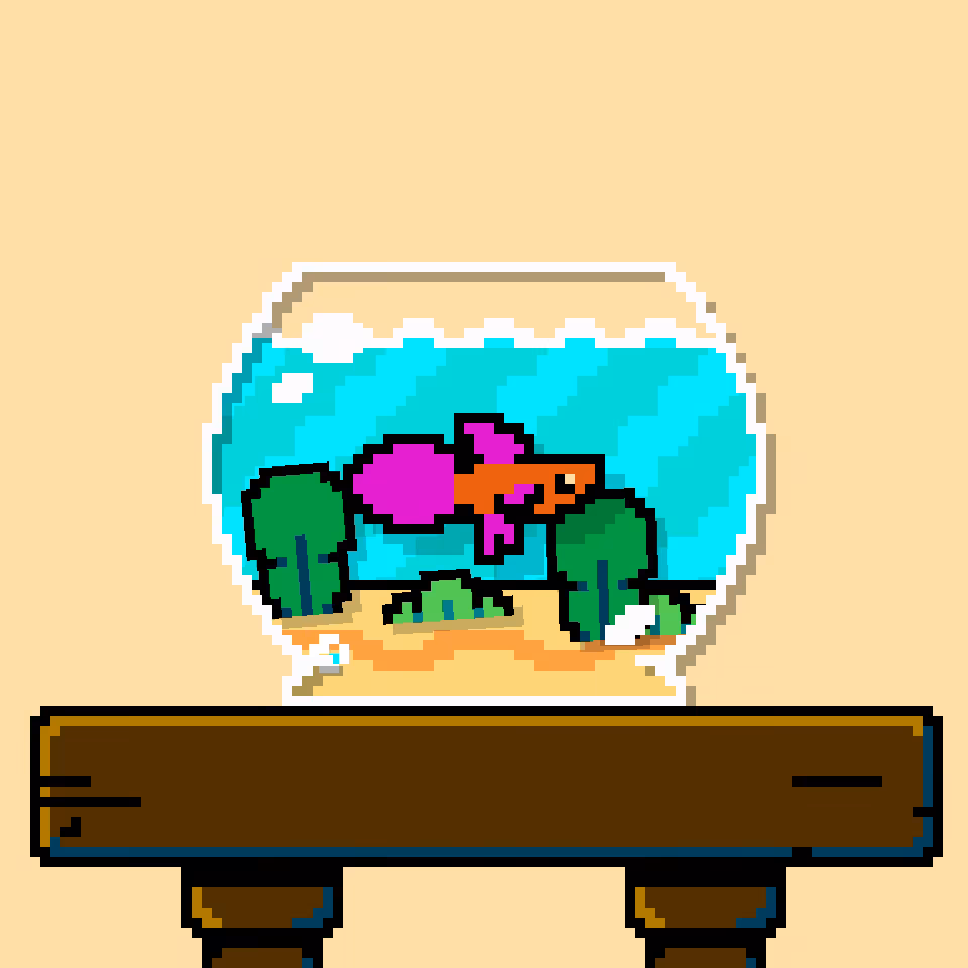 betta fish #114