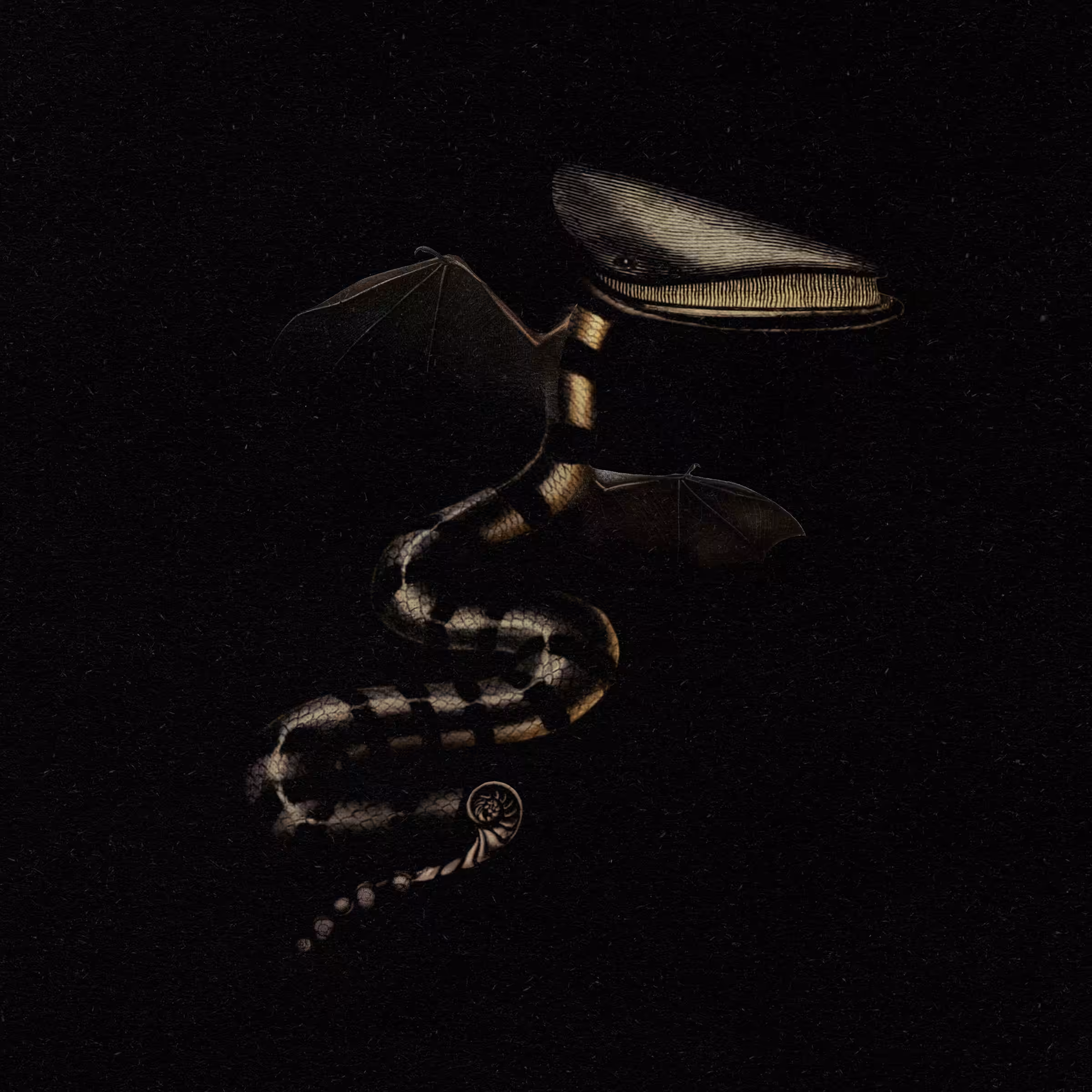 Cetacean Fly /NC#3