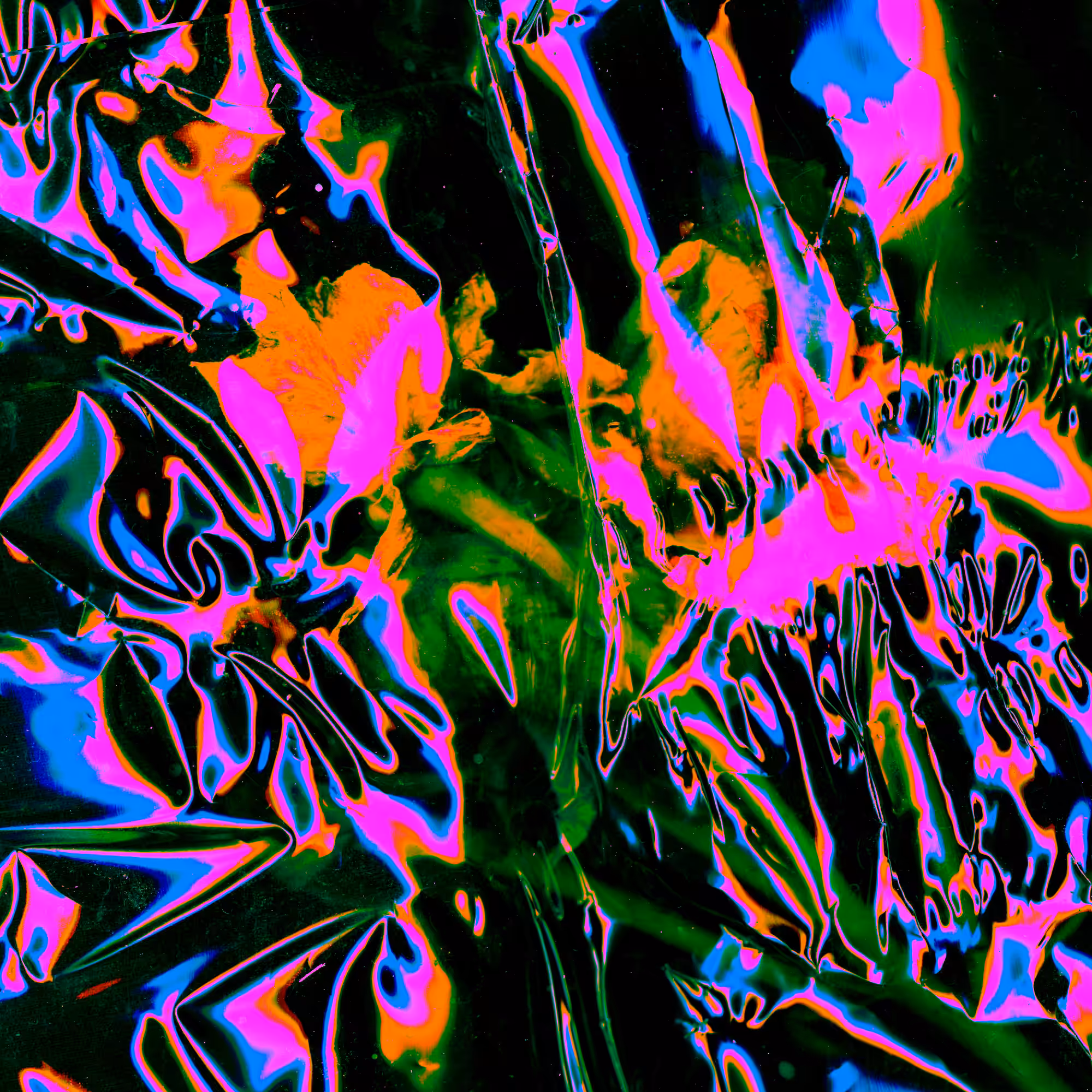 / Scan 001 / 
