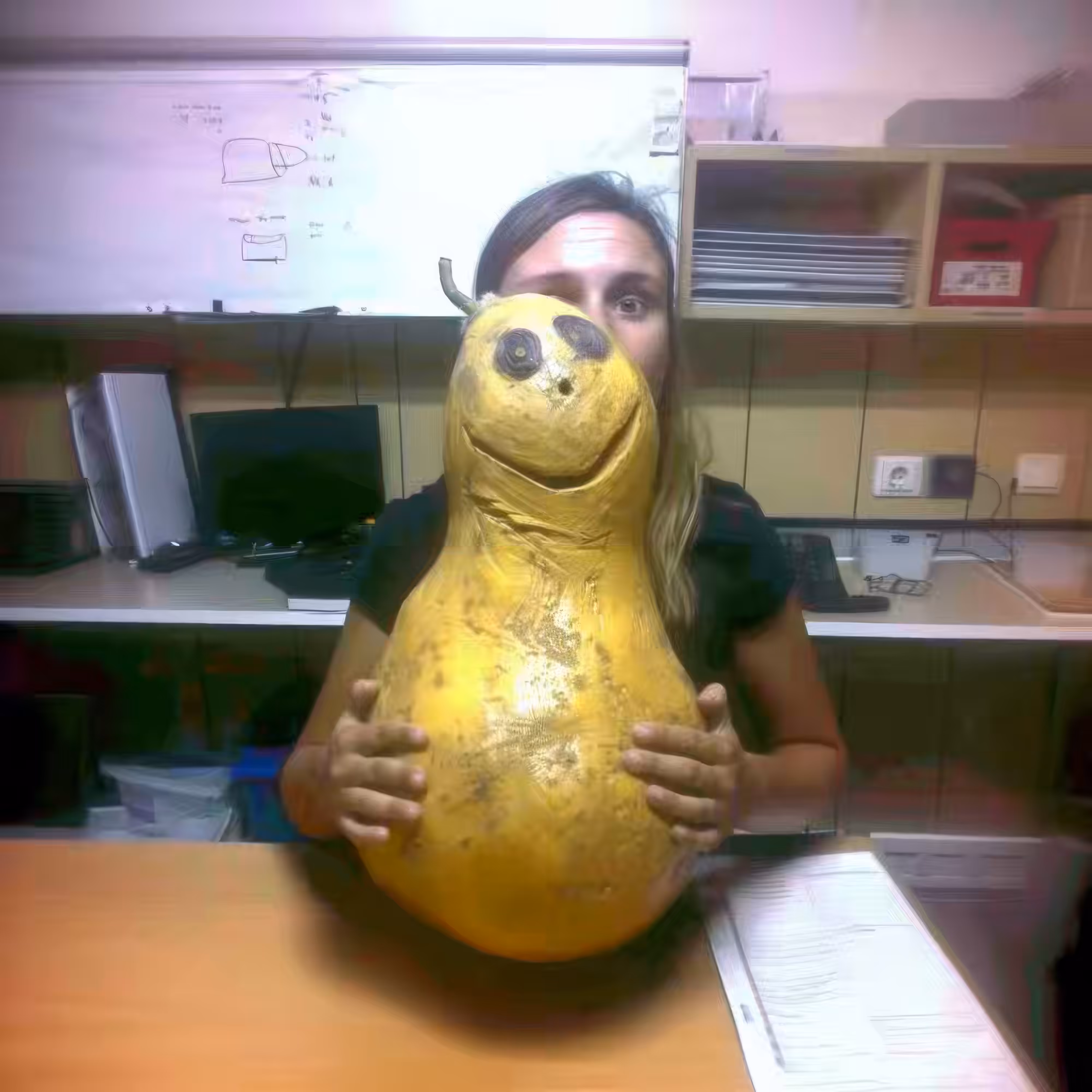 BAD JPEGs: Big-Squash-Contest