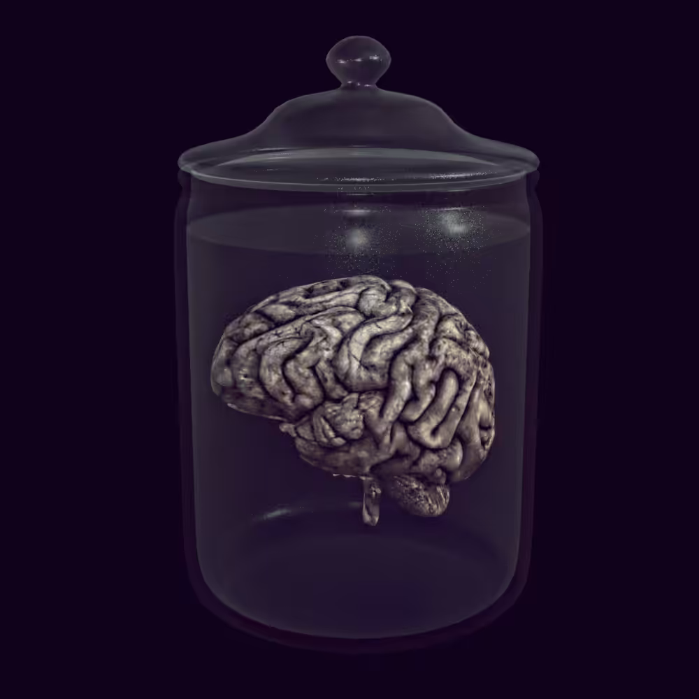 Blush Brain In A Jar