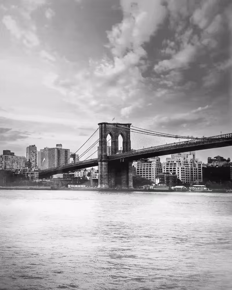 Back to Brooklyn