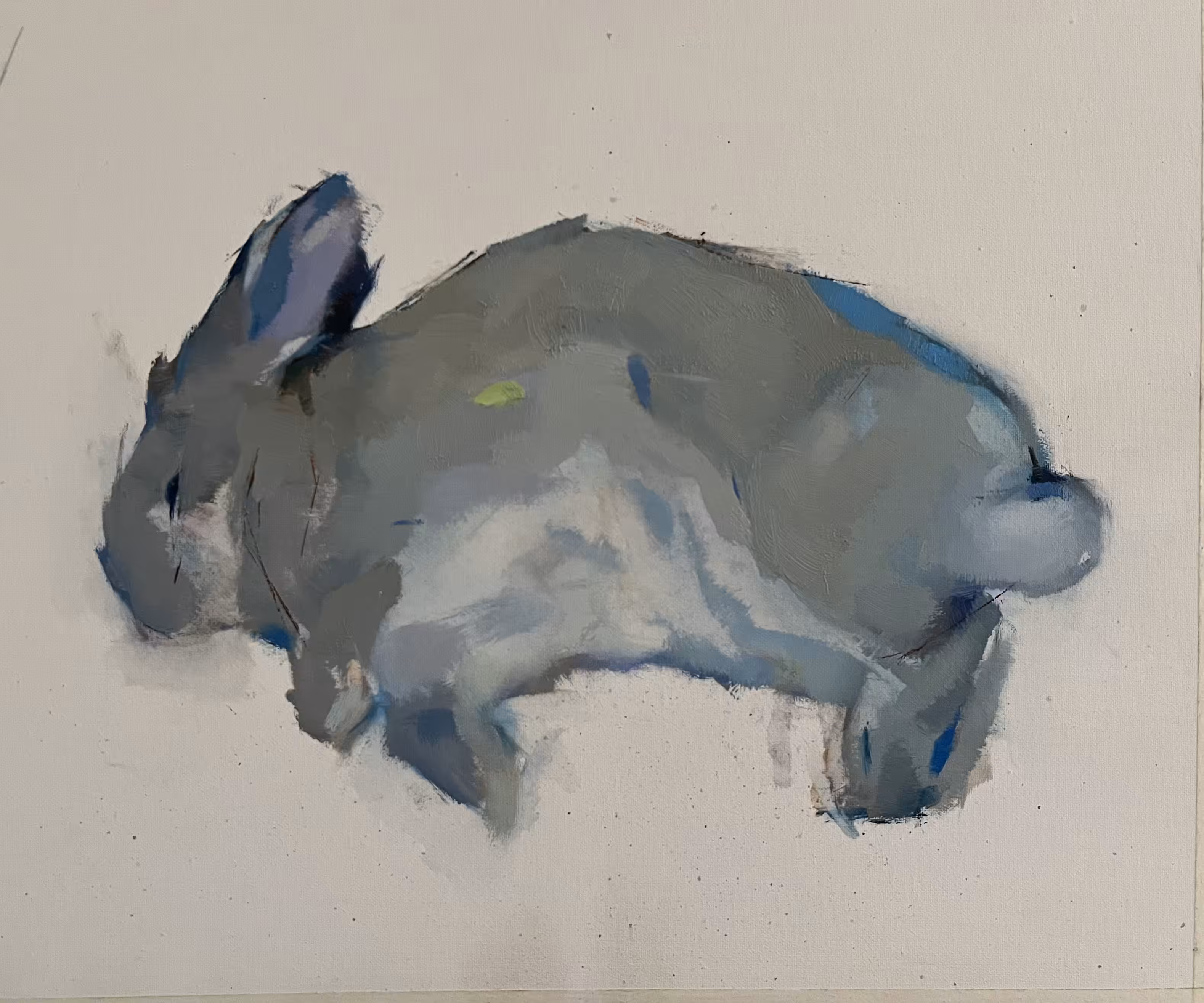 Bunny