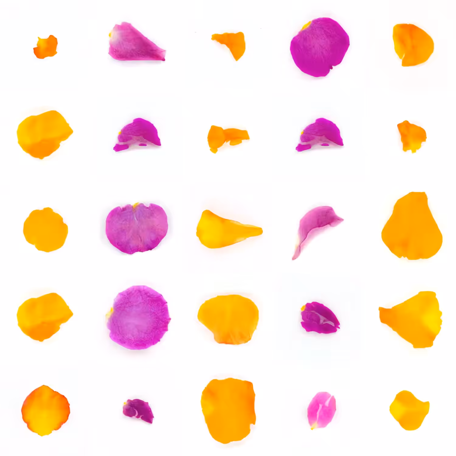 Infinite Petals 5x5#20902