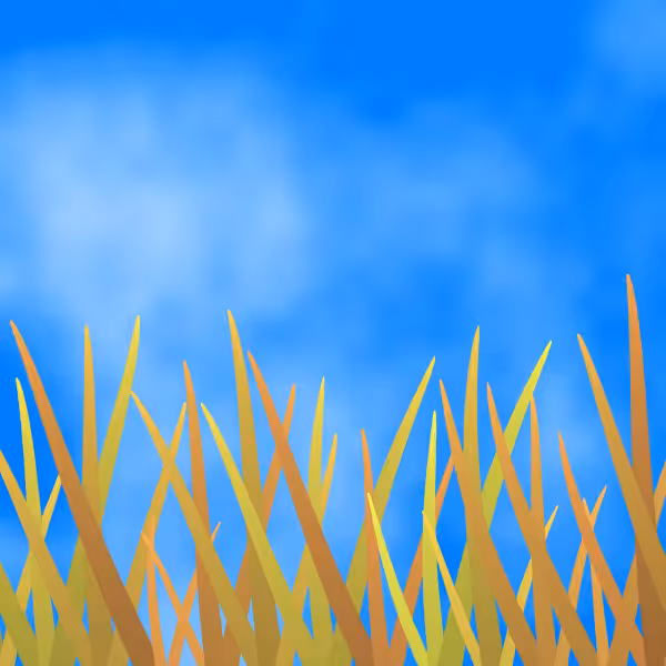 Fields of Ukraine #2