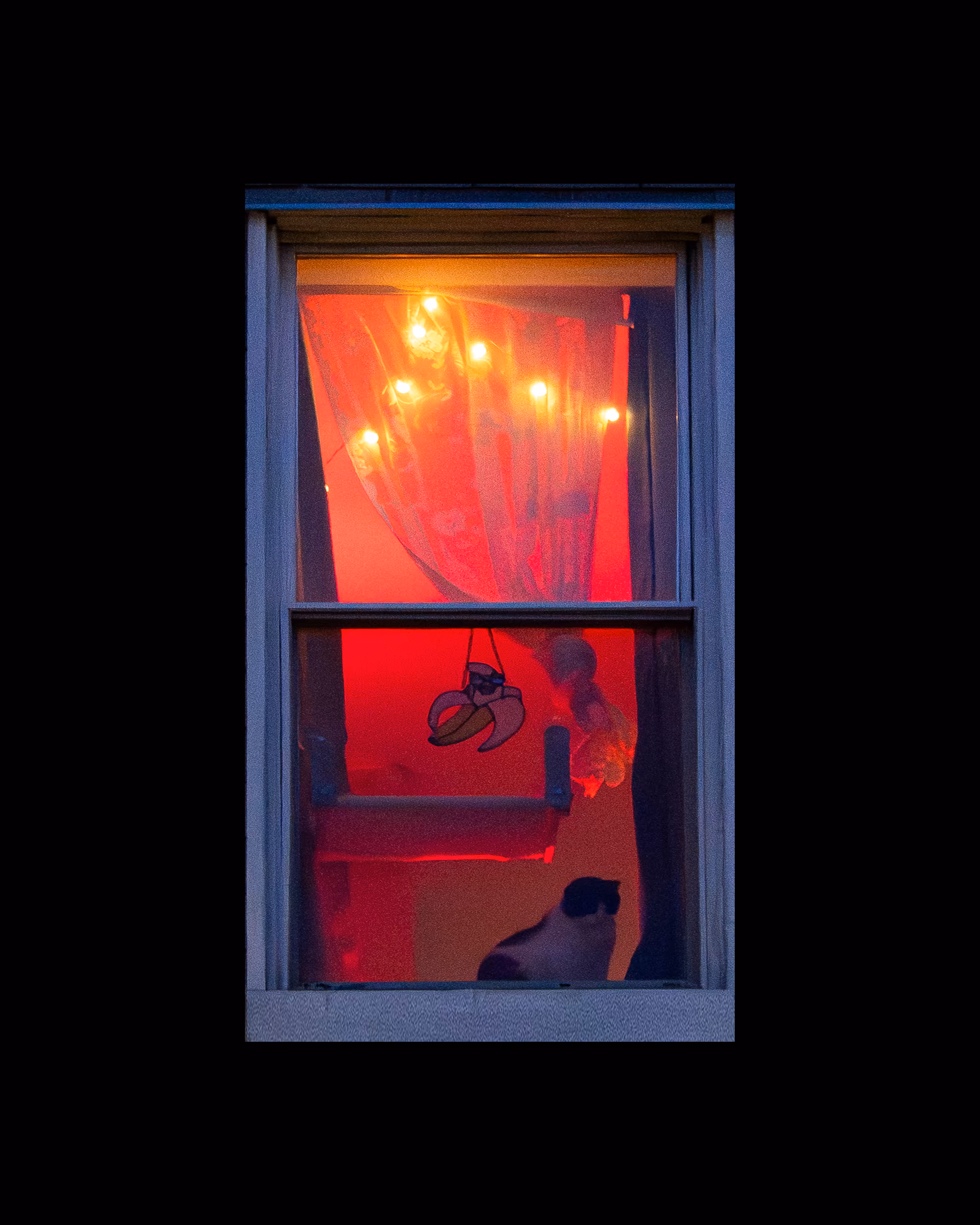 WINDOWS // NYC: WINDOW 834