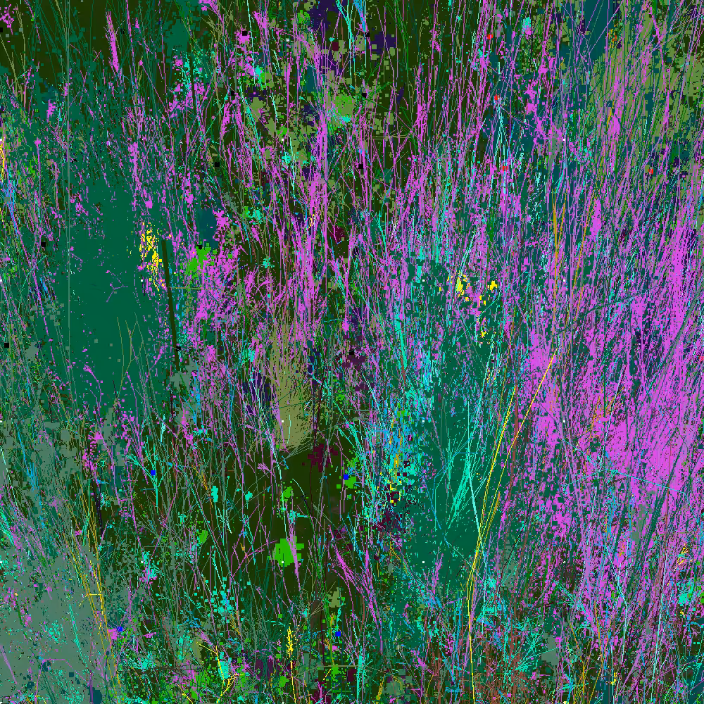 Infinite Garden: 78773 Flowers
