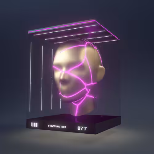 Fracture Boi: FRACTURE BOI - 077