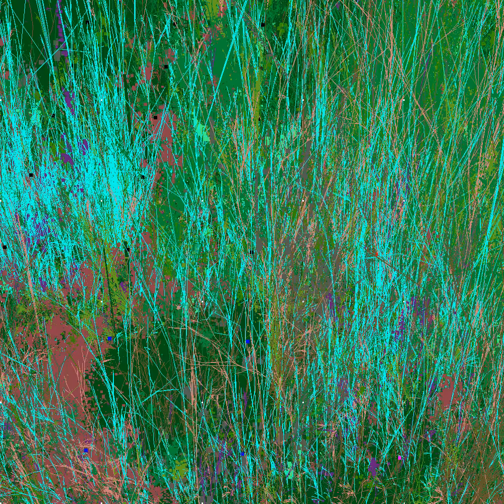 Infinite Garden: 52432 Flowers