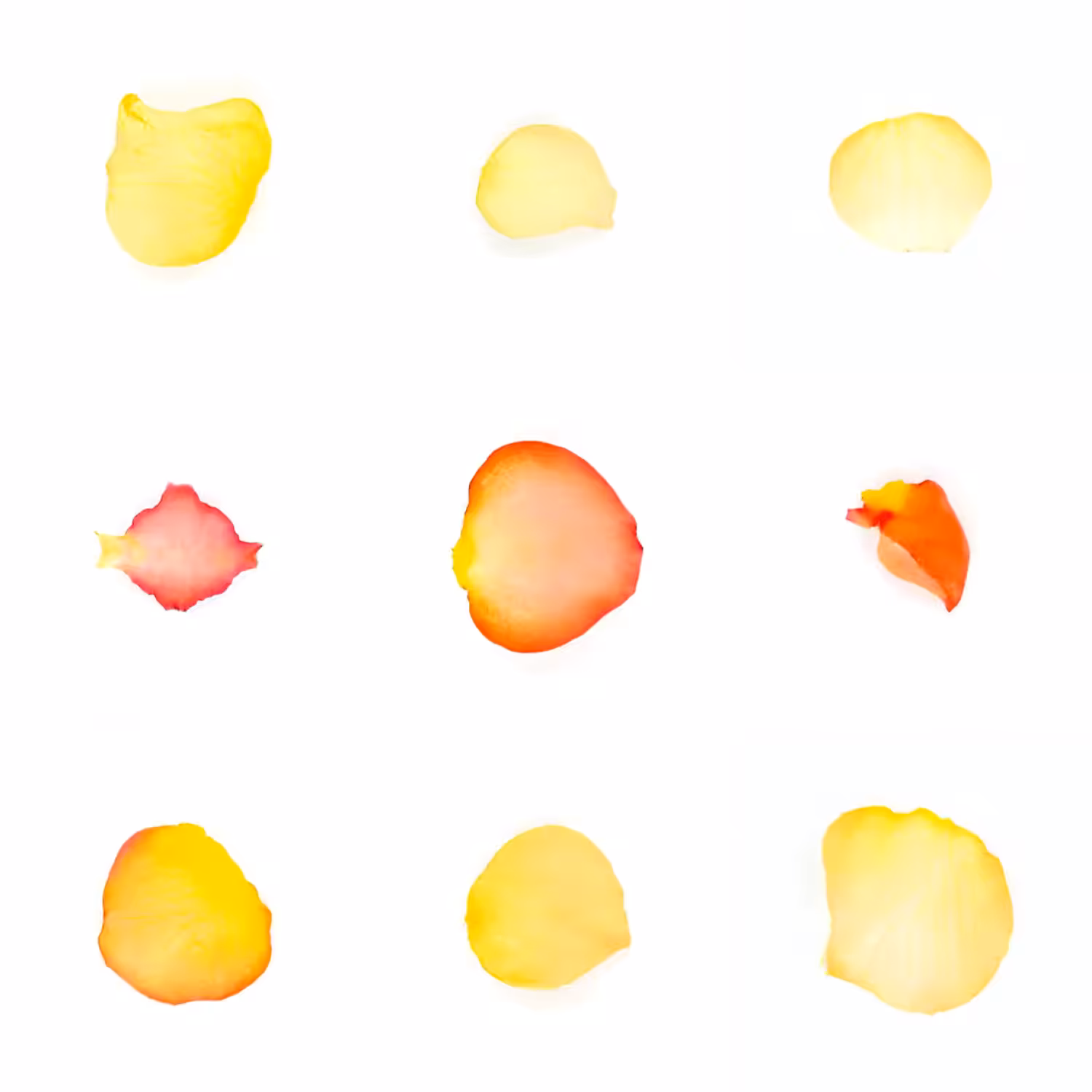 Infinite Petals 3x3#3716