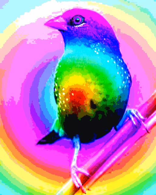 Rainbow Bird