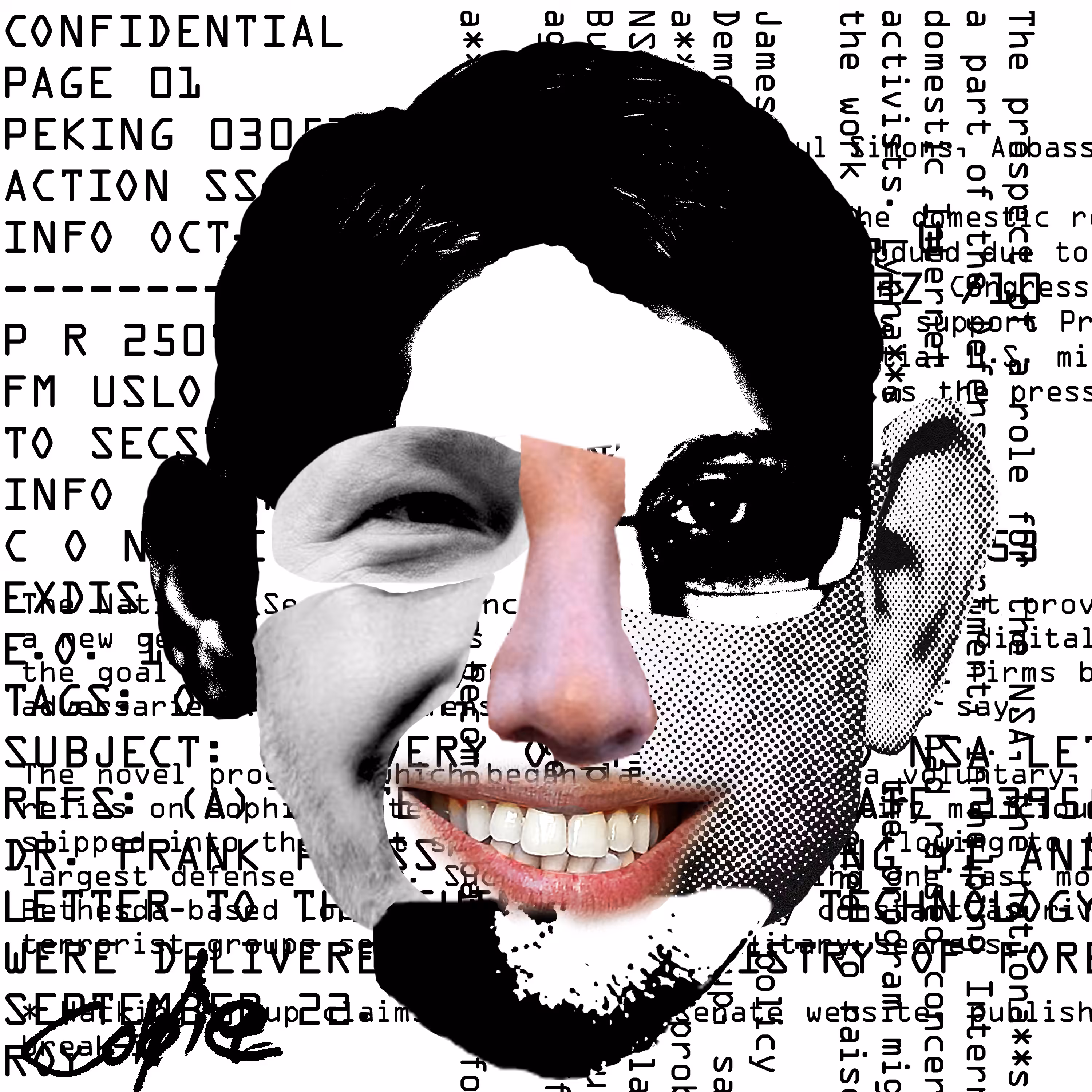 DecentralEyesMashup: DEyes #229