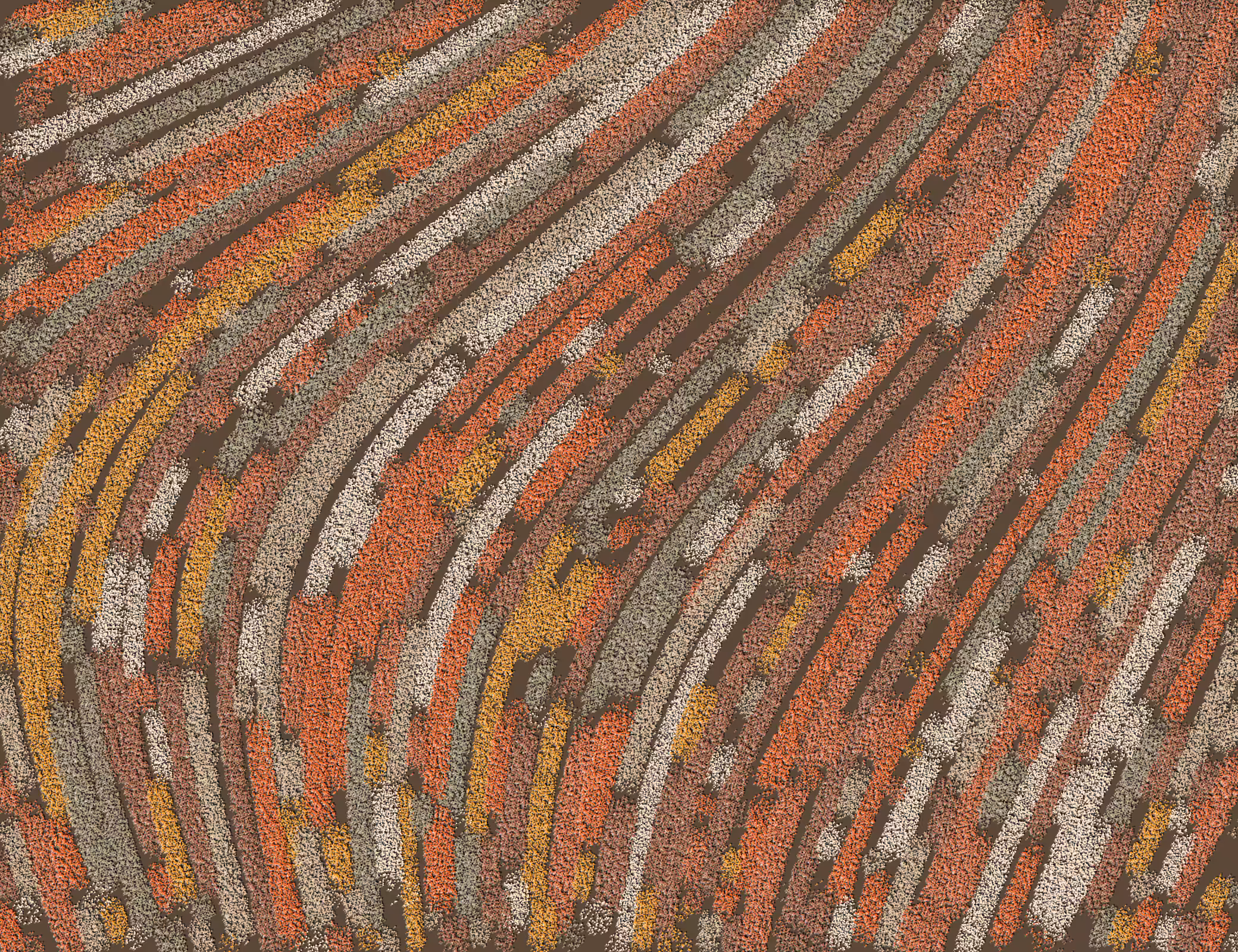 Wigglenza #225