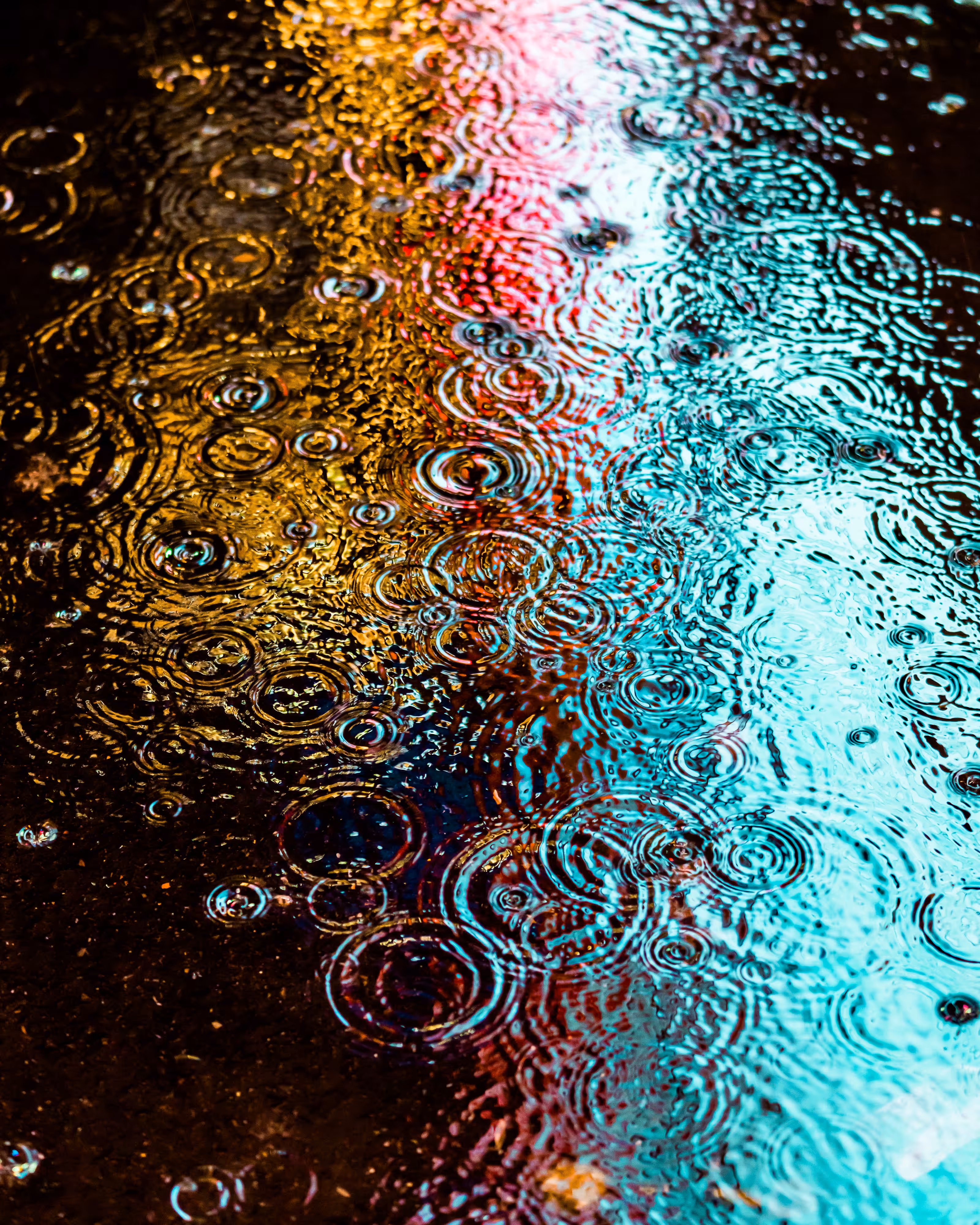 DRIP DROP: DRIP #60