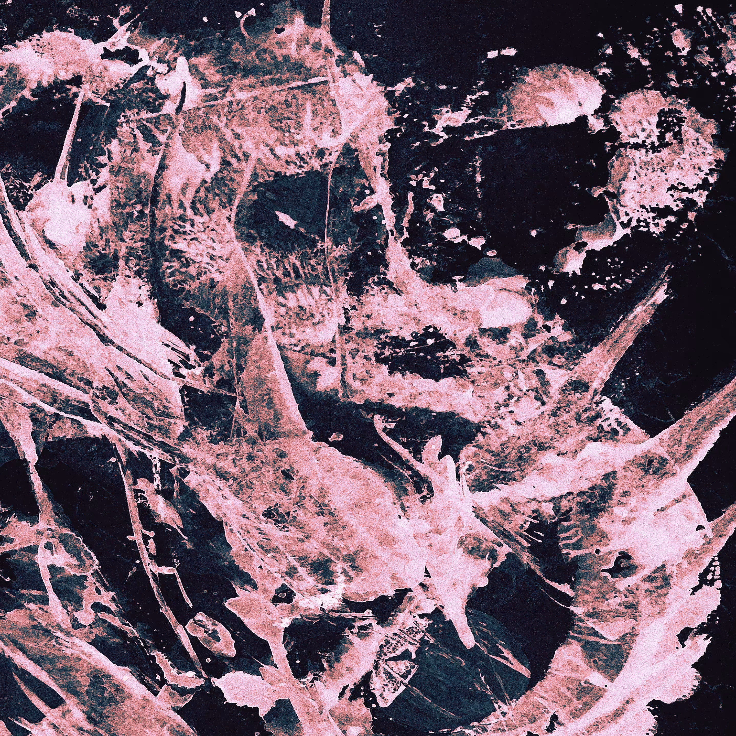 Pink Bone 