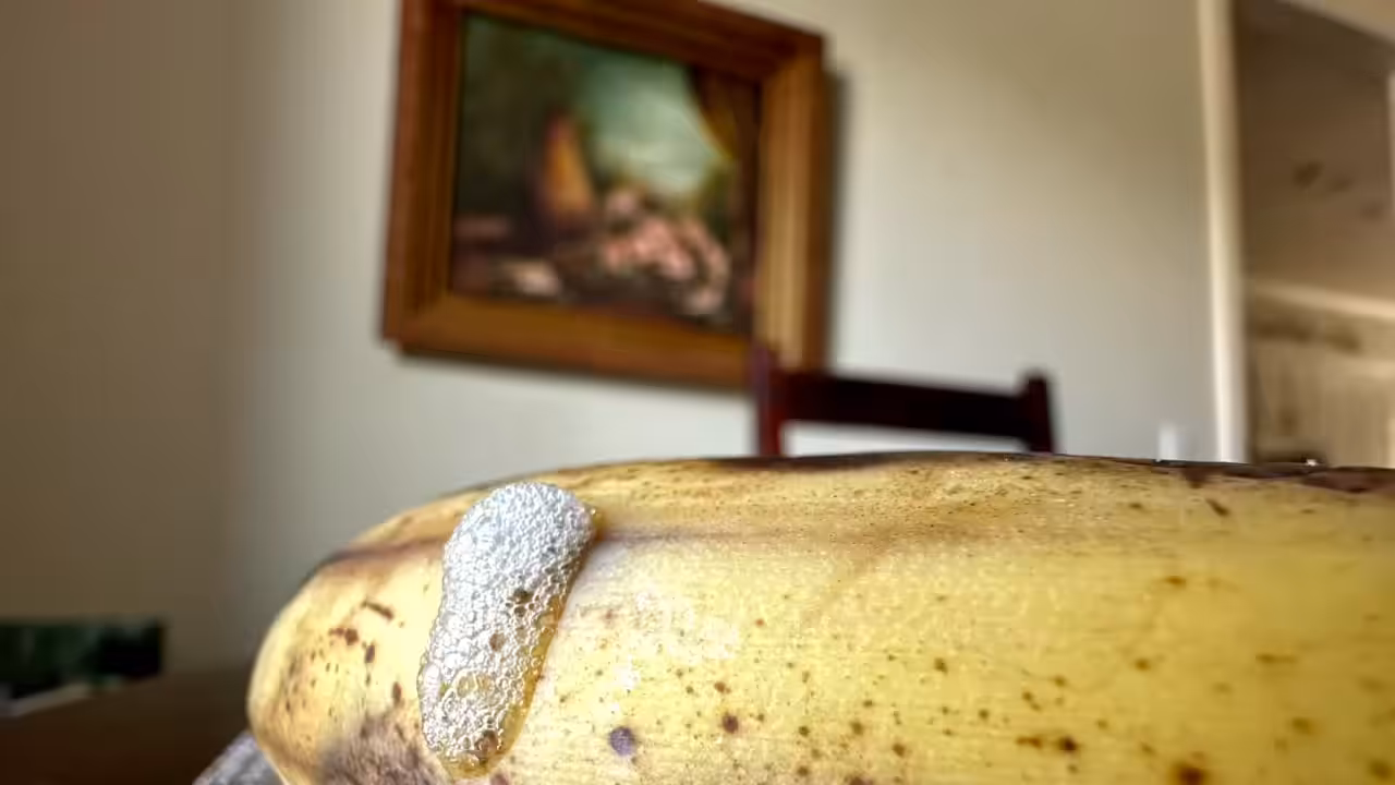 Behind the Canvas: An Ode to Memory