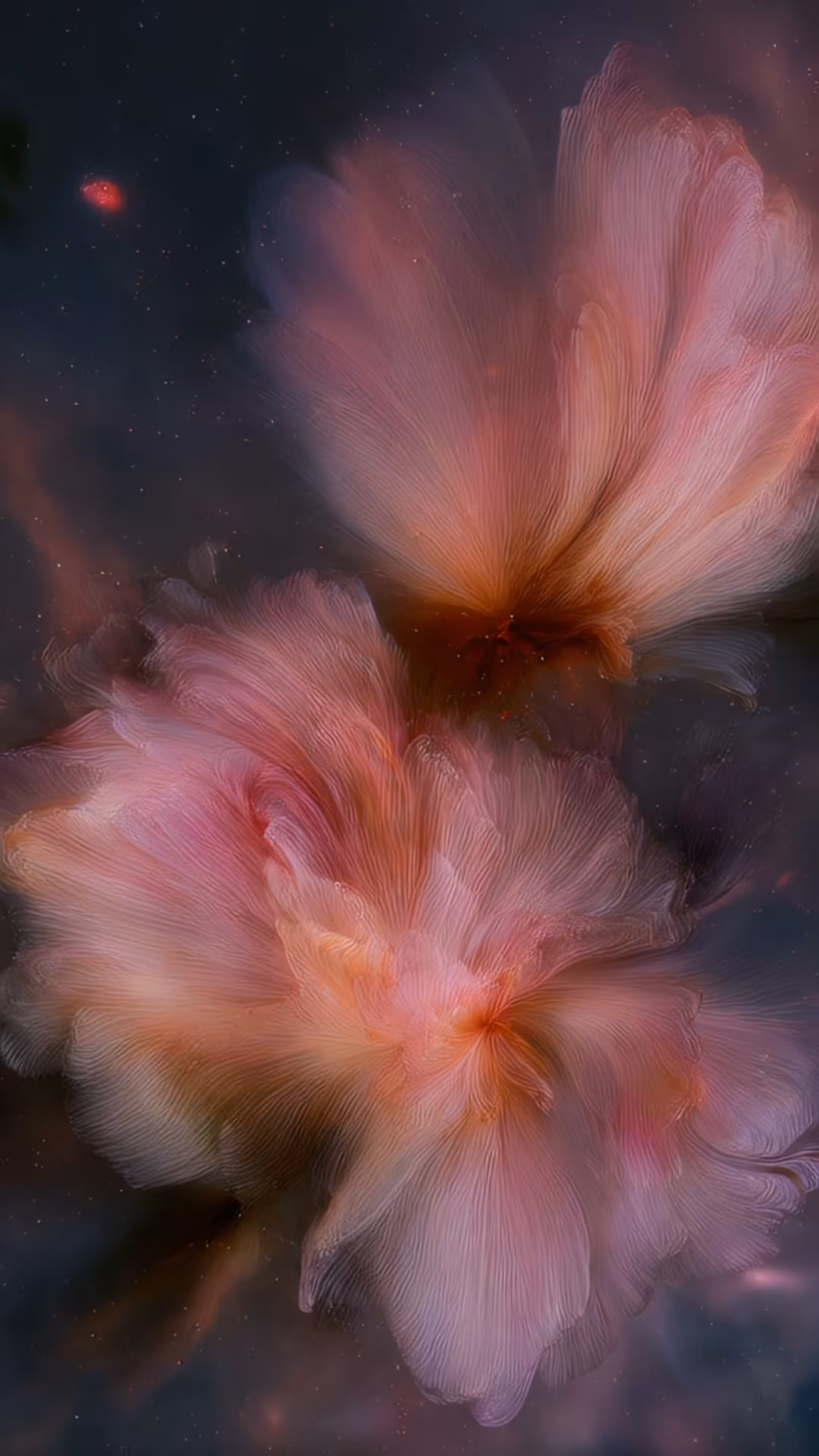 Pink Drift