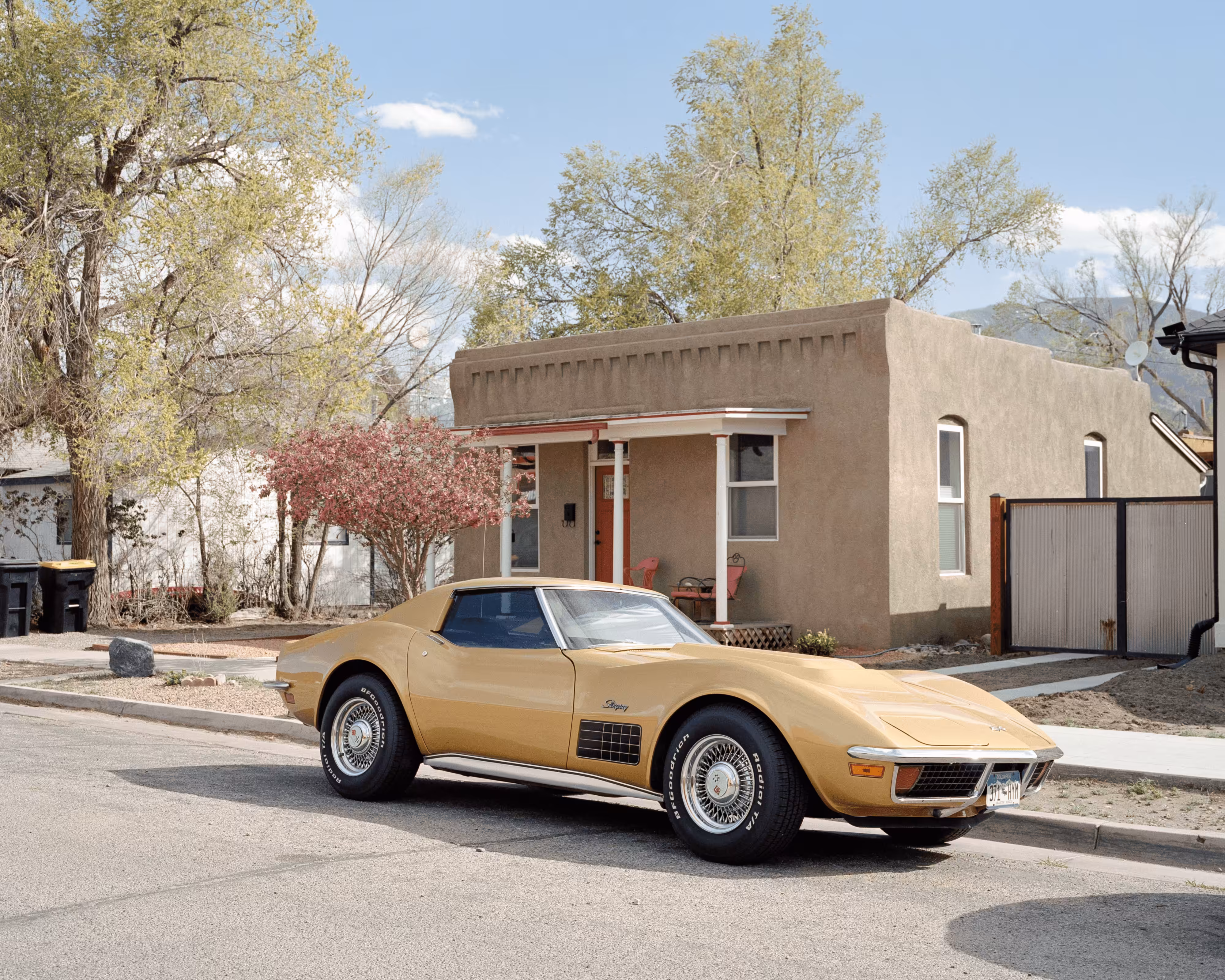 Hidden In Plain Sight #095. Stingray
