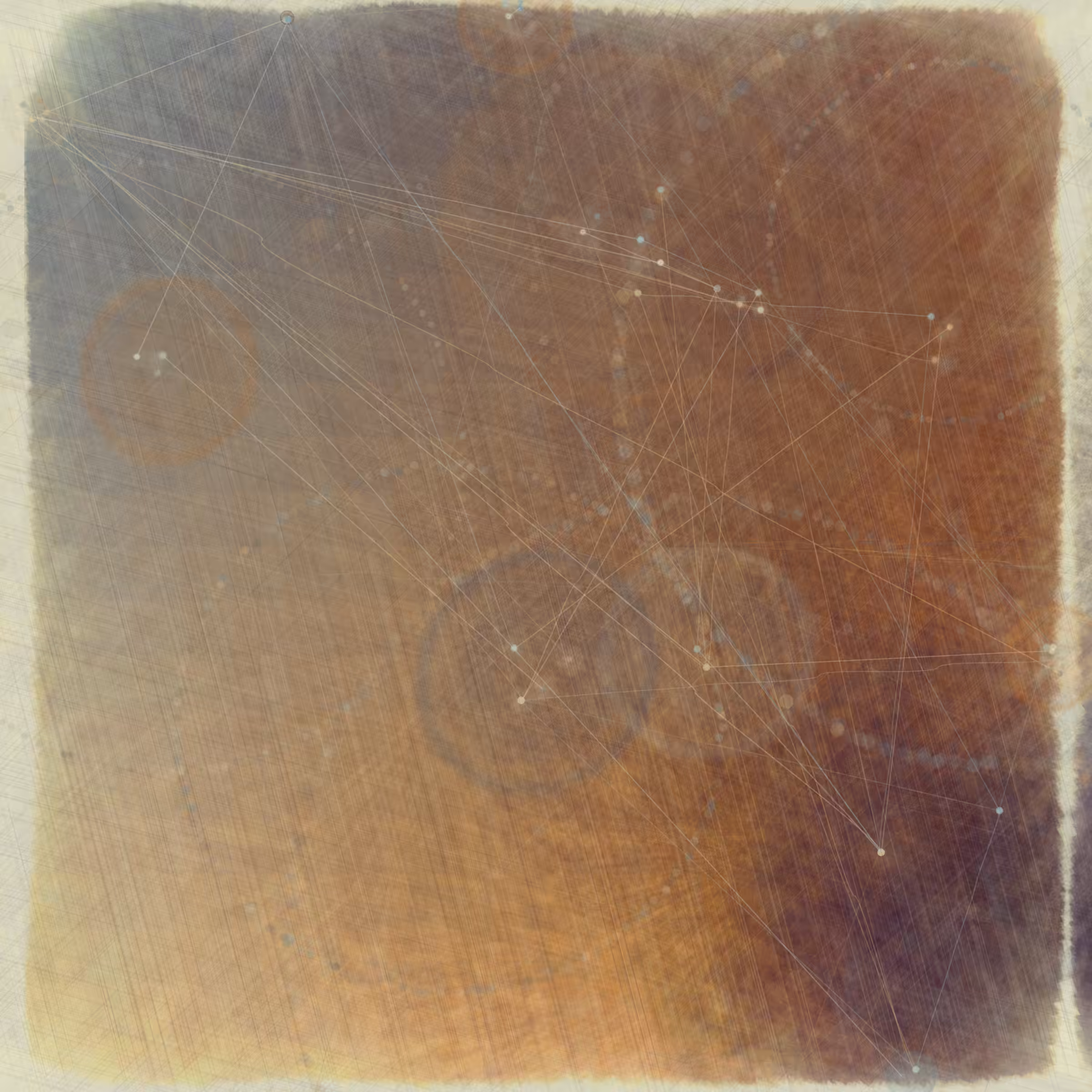 Reticulum
