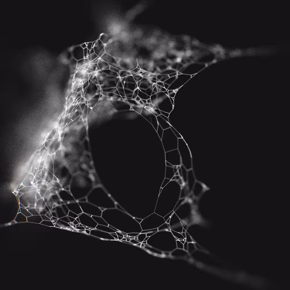 web 4b31616c