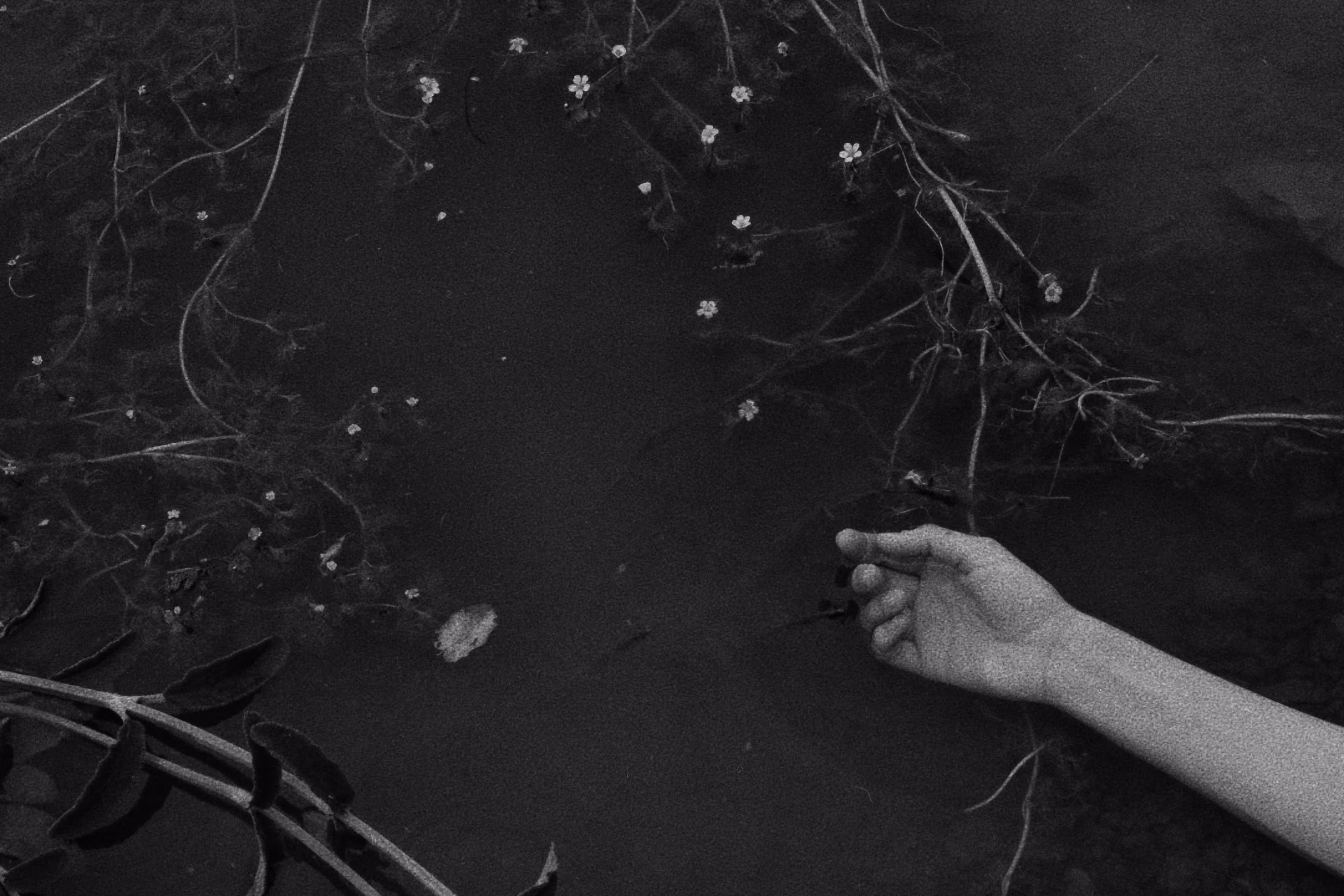 Tears of River