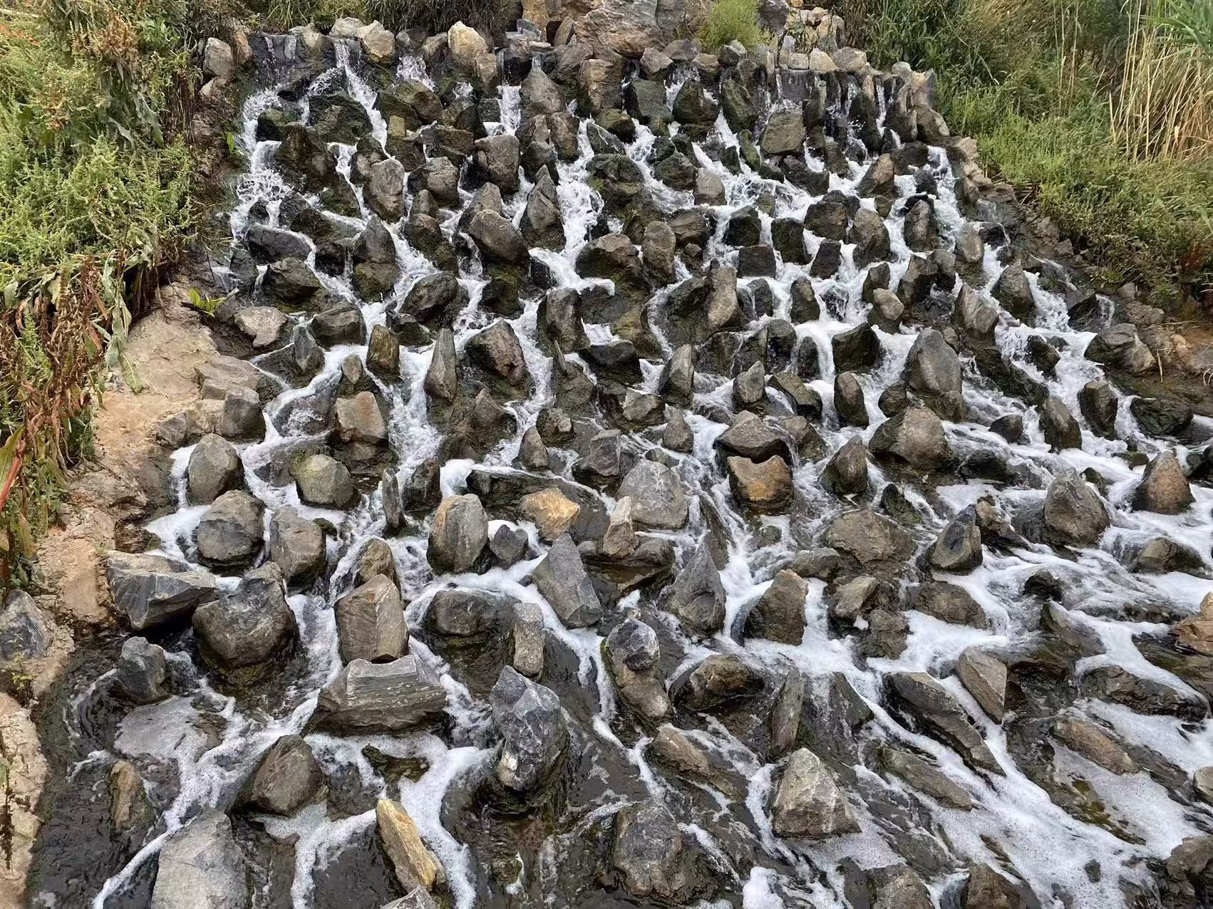 The stream