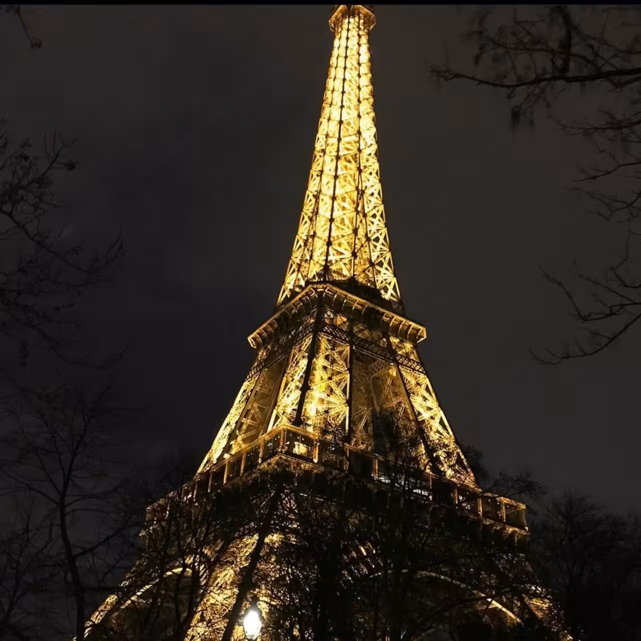 Bright Lights Of Amore