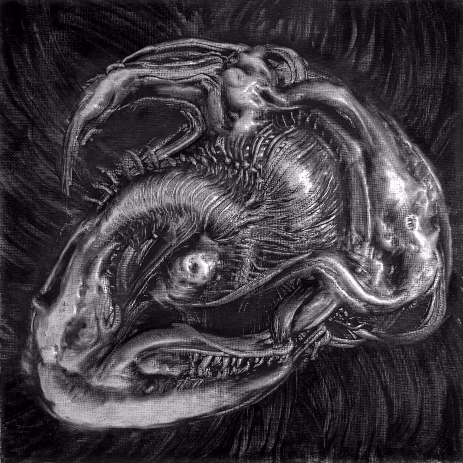 Xenorelics_Scull