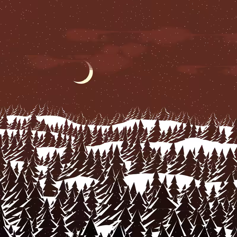 Winterland #245