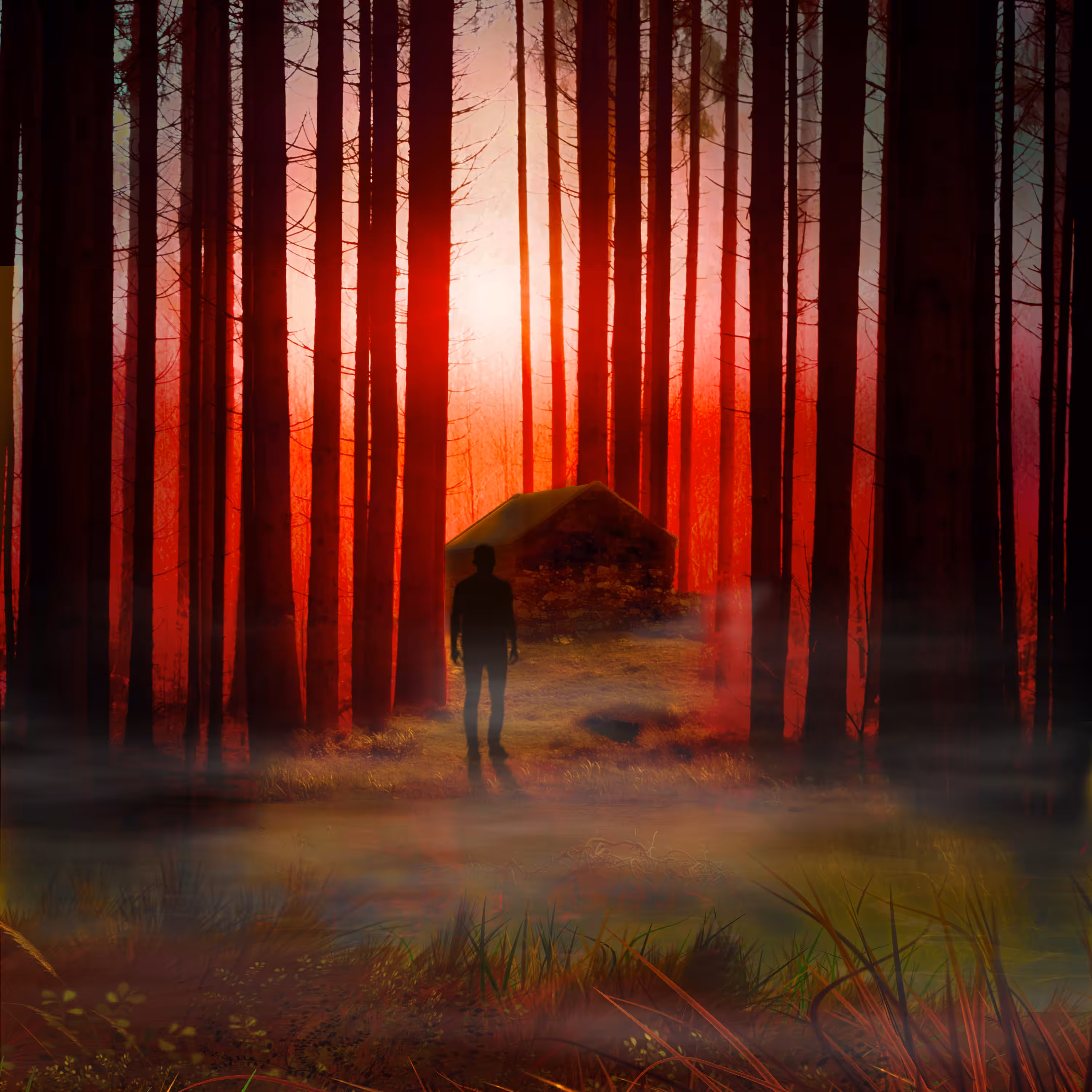 Twilight 