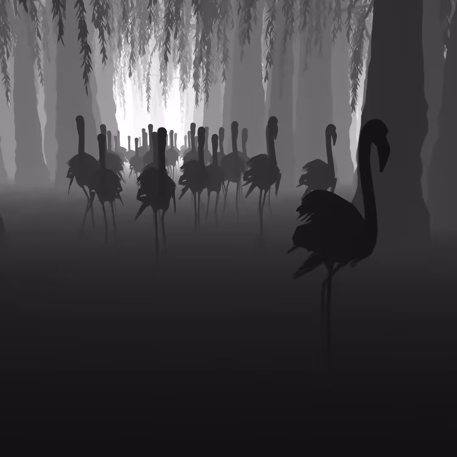 THE REVOLUTION OF FLAMINGOS