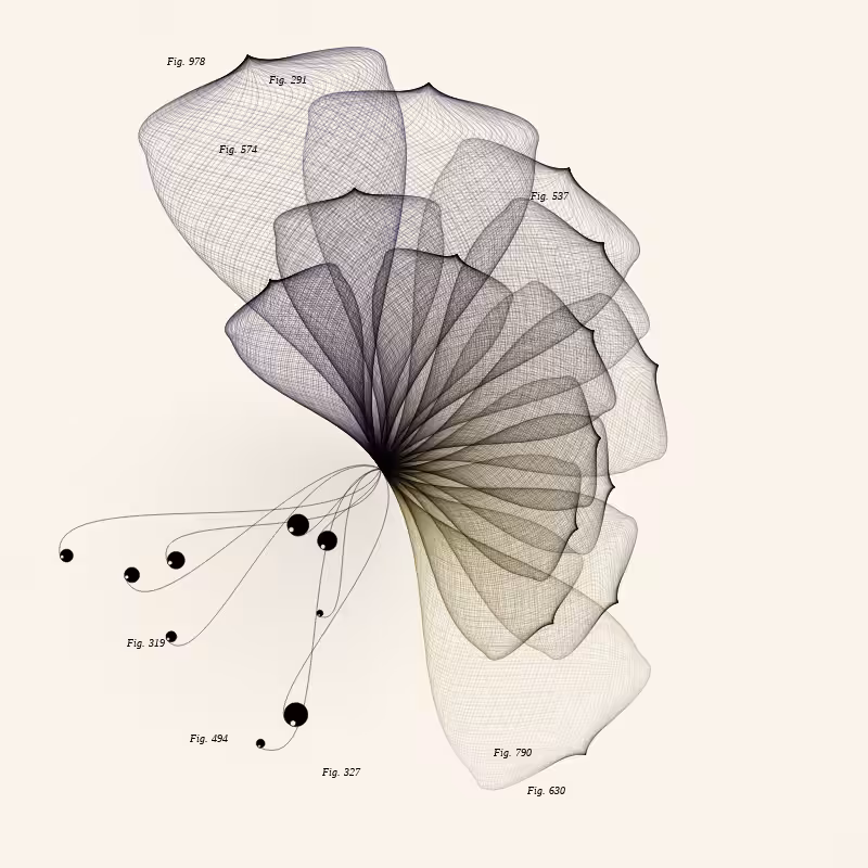Herbarium #872