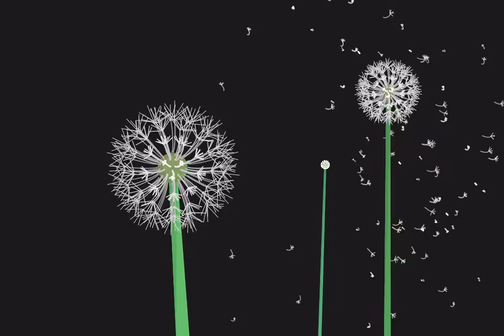 Interactive Seeds #8