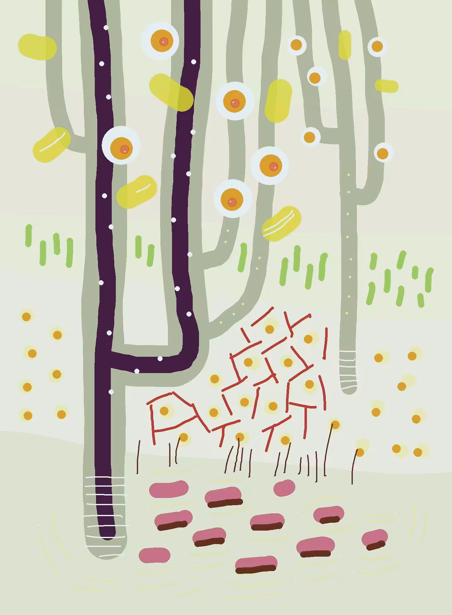The beginning of style 2 - Stripes and dots: Apple trees in bloom (green)