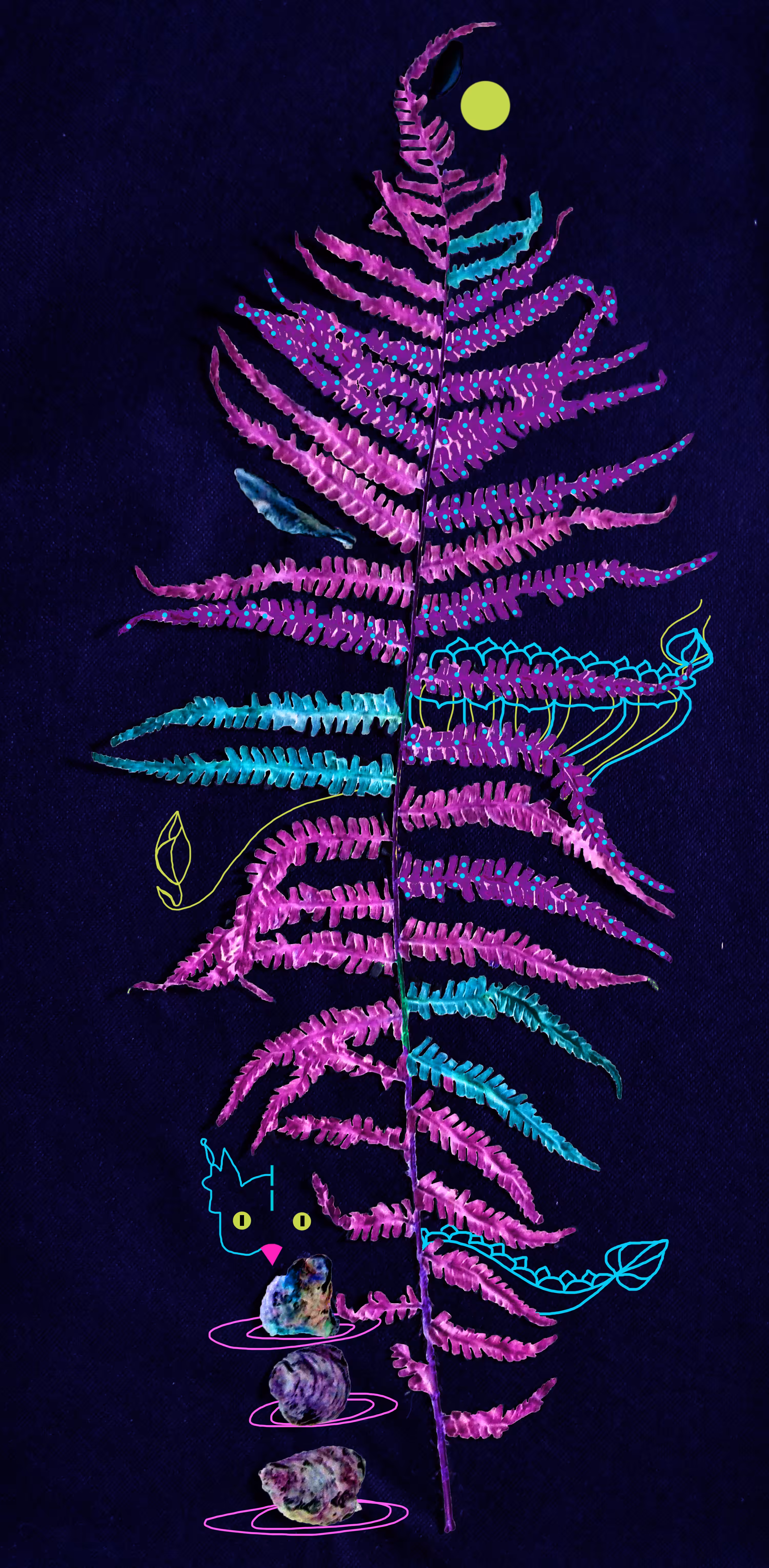 Fern flower