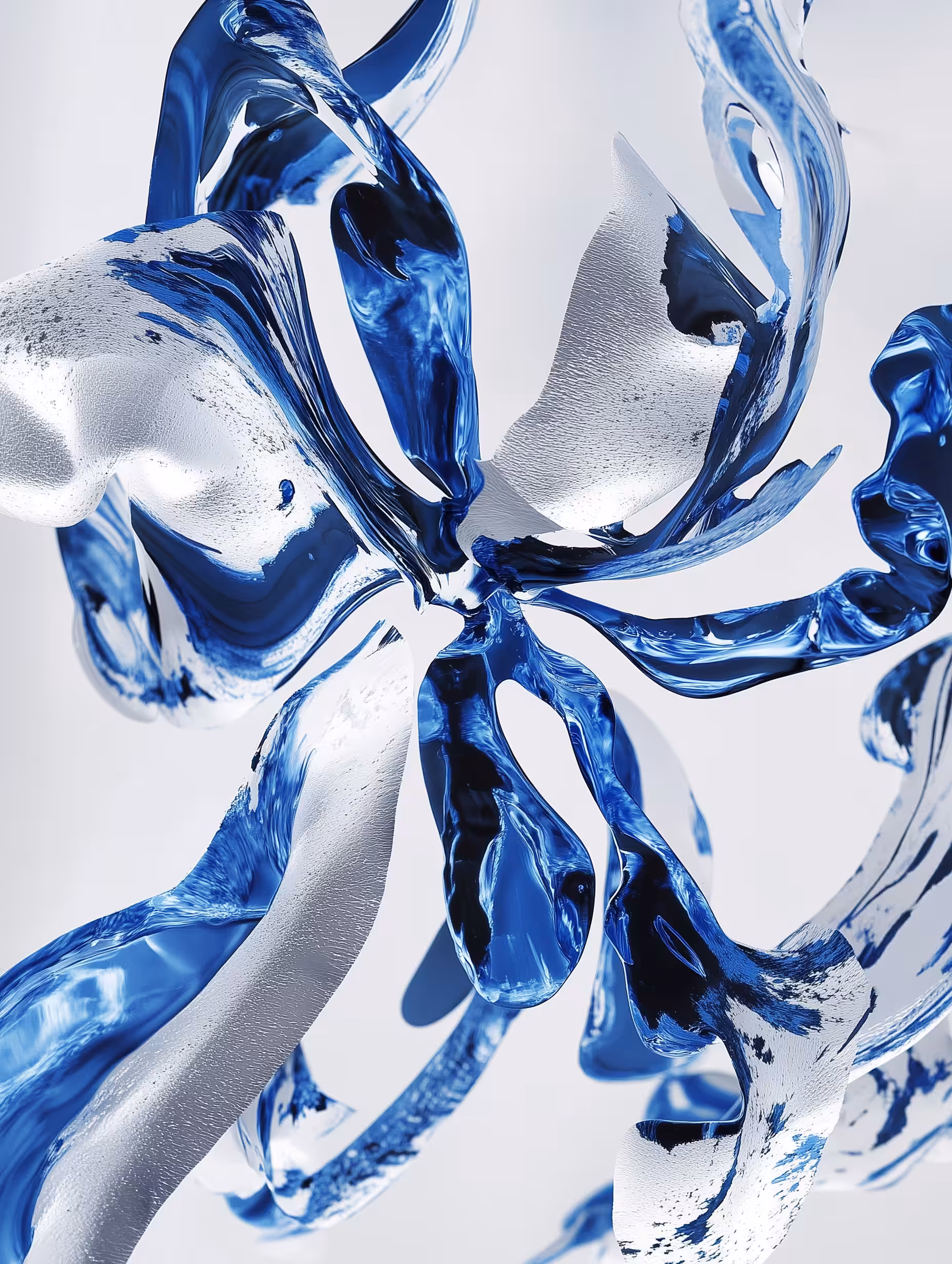 neural petals