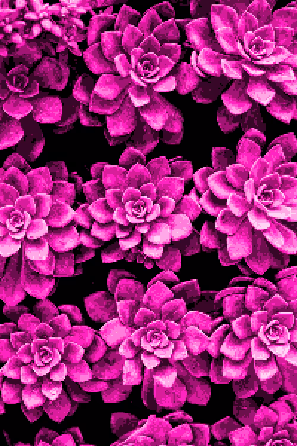 Flowers #1
