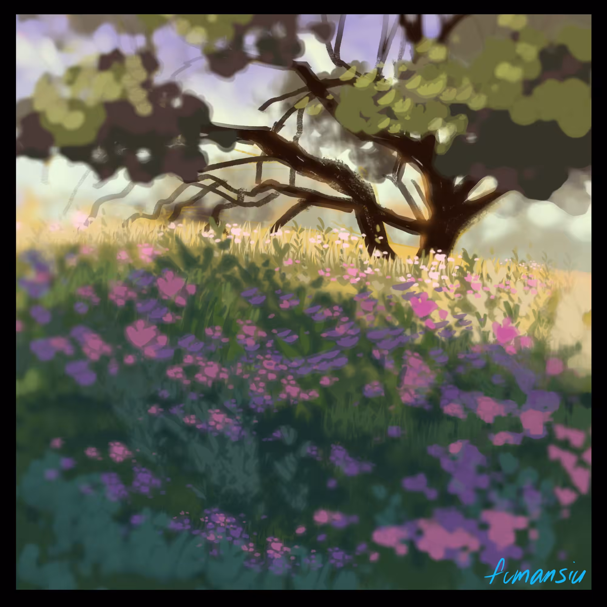 Spring Fields