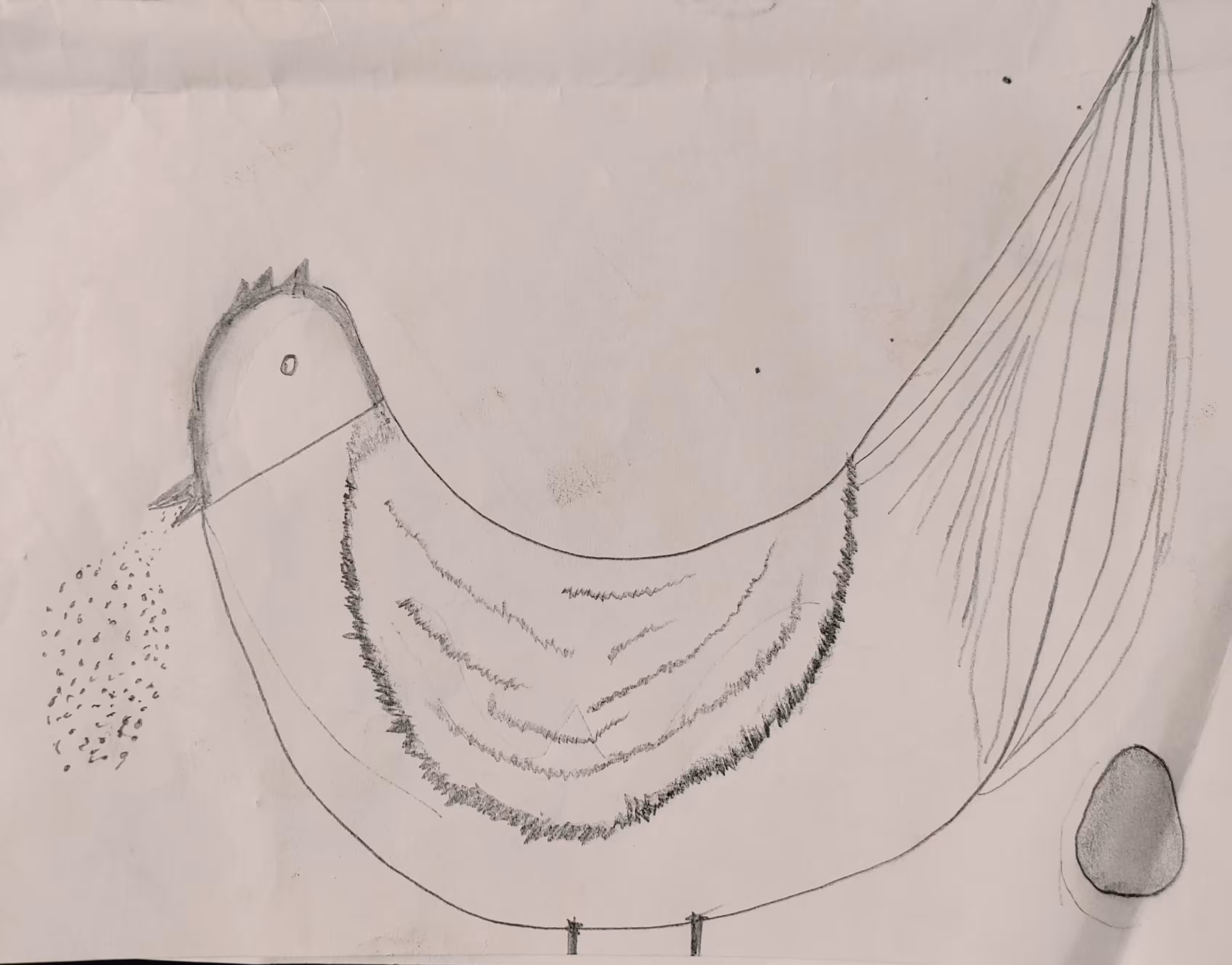 Hen