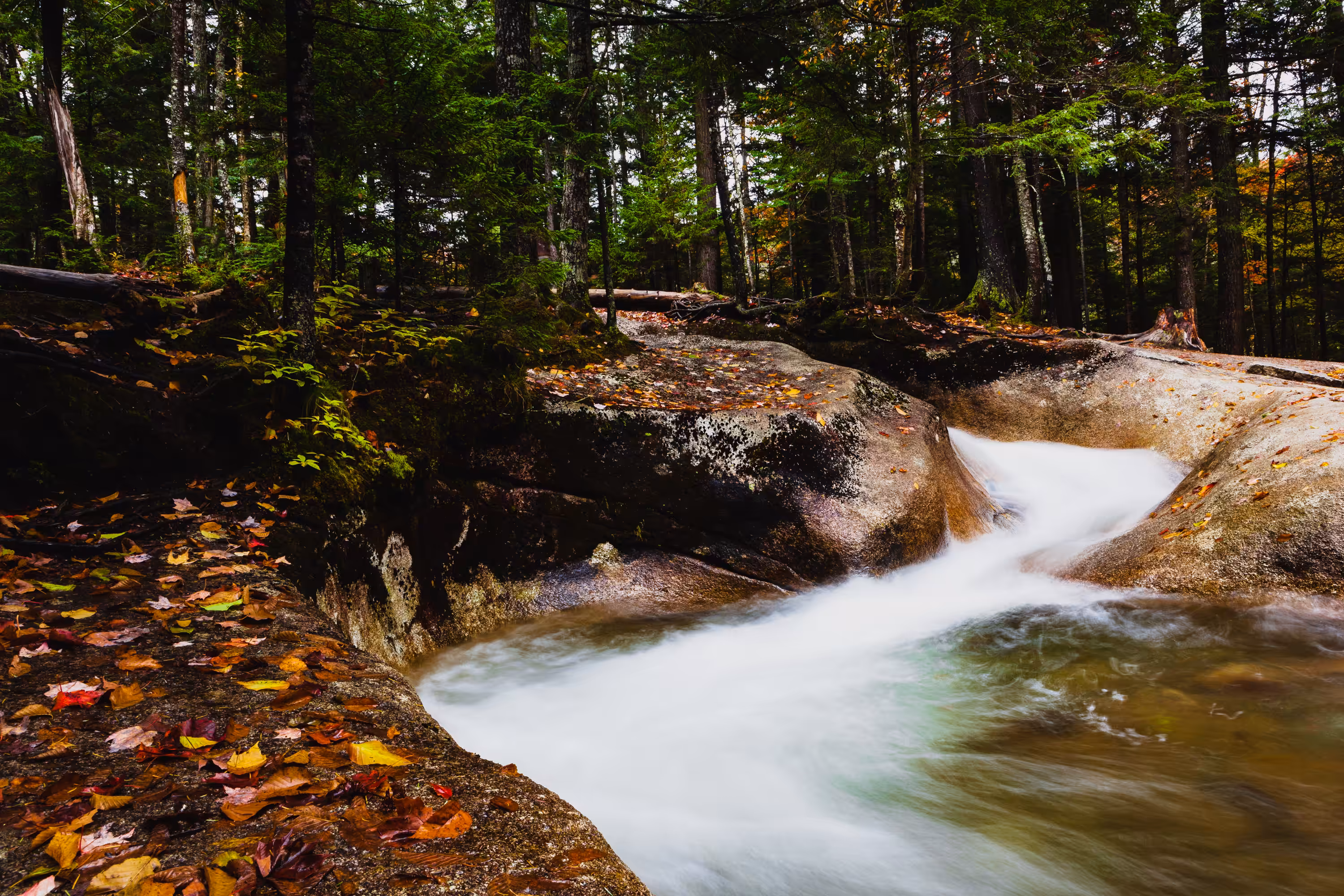 The Basin Falls