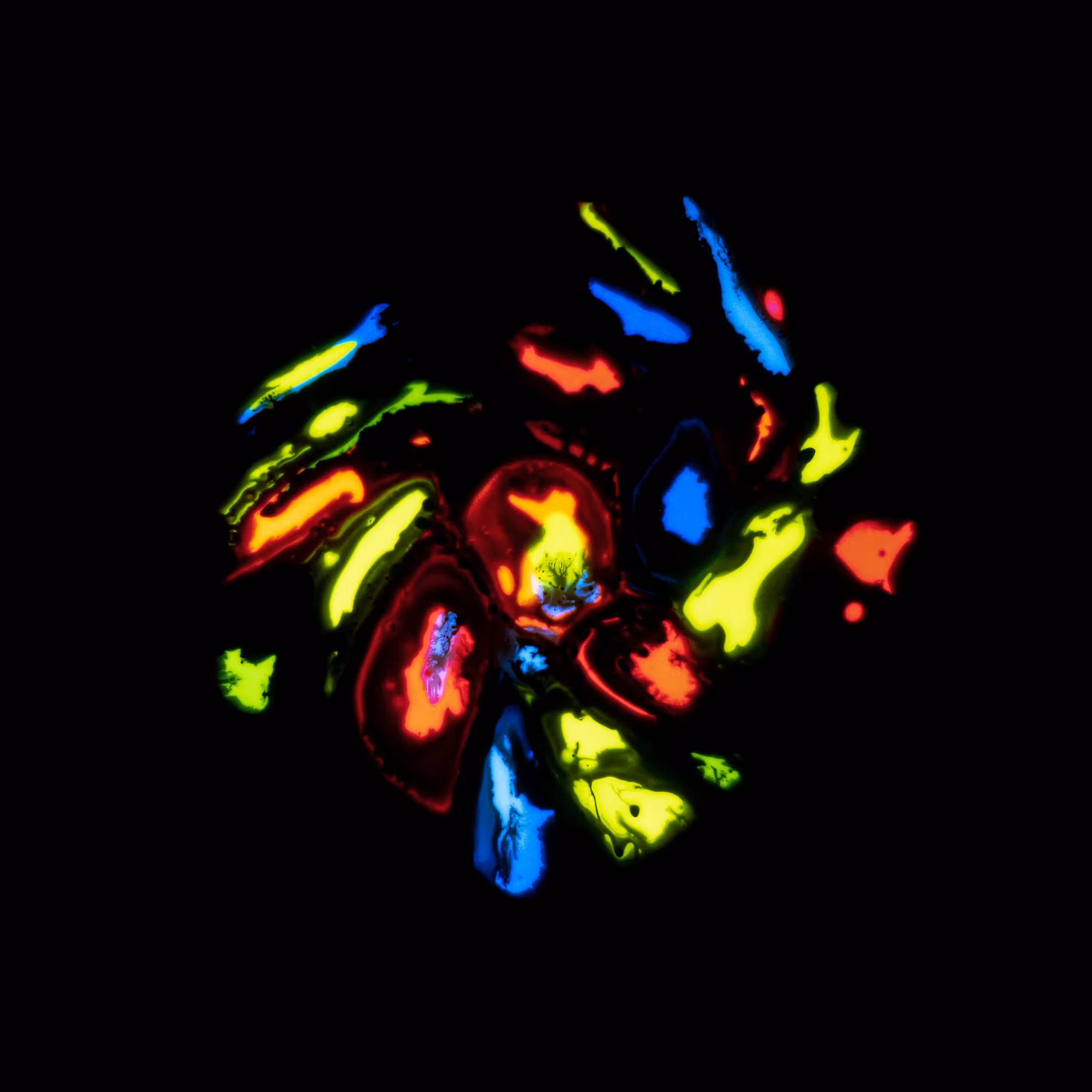 Haematopoiesis #103